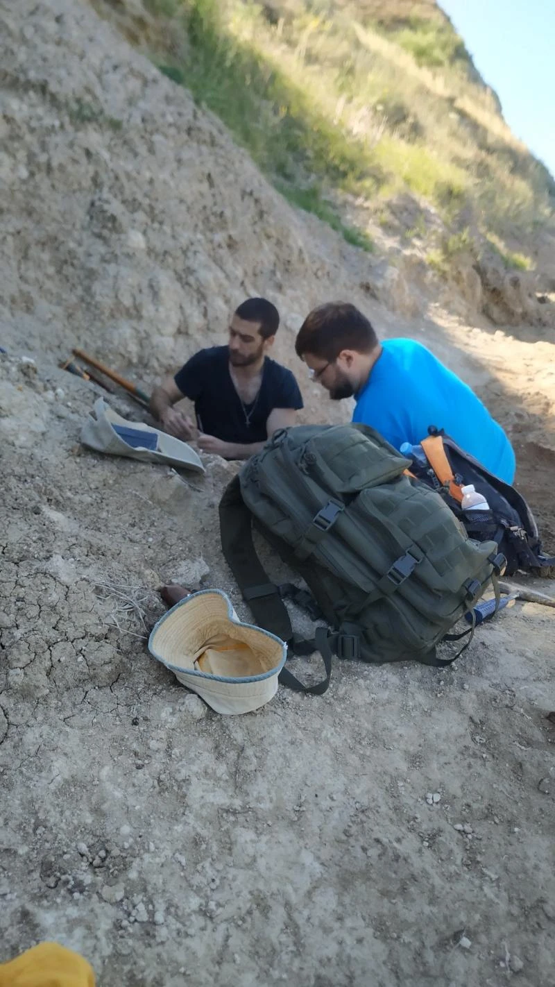 apolithoma2.jpg apolithoma2.jpg