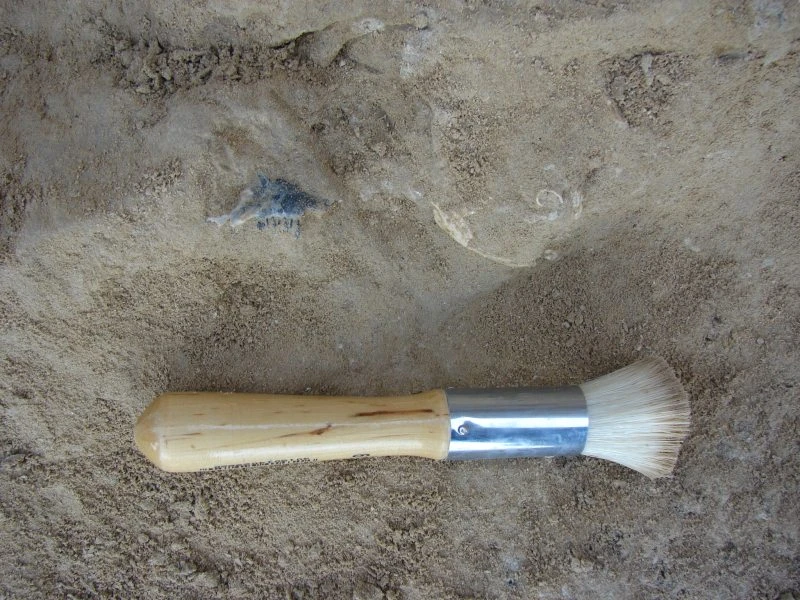 apolithoma3.jpg apolithoma3.jpg