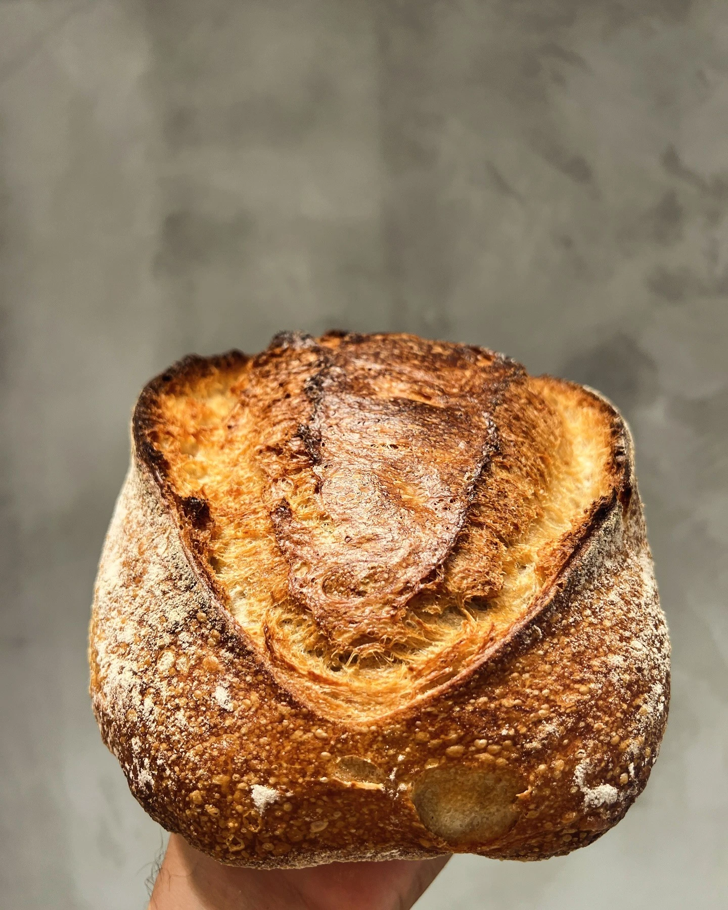 country-breadery-7.jpg?v=0