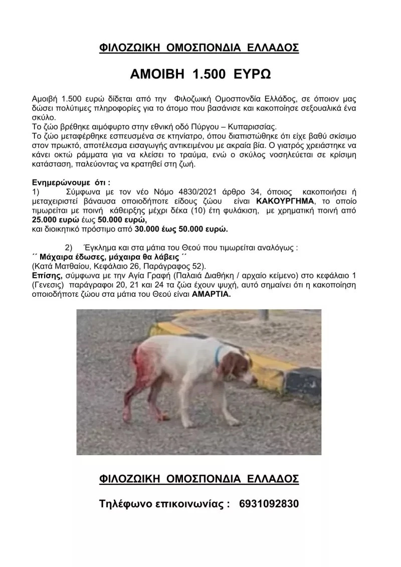 epikirixi-ileia.jpg epikirixi-ileia.jpg