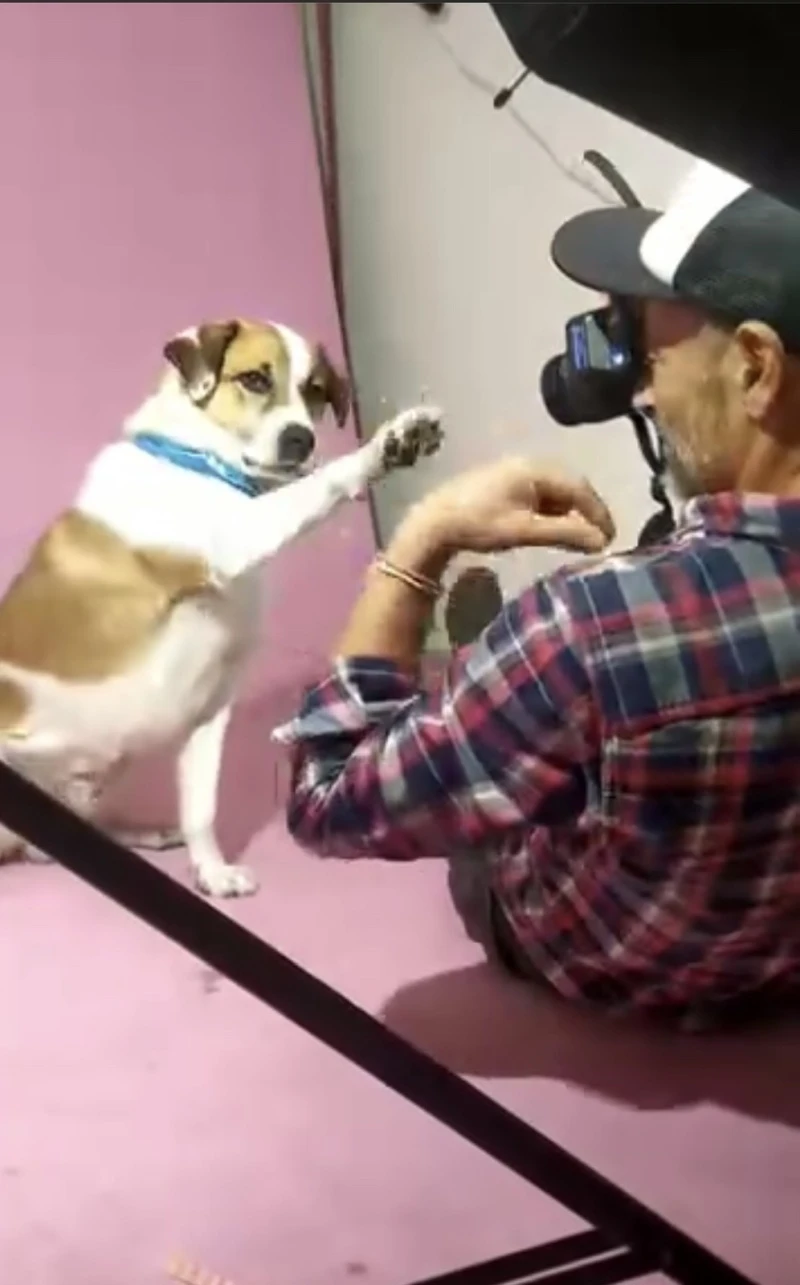 img-98d04e65110b8f26b0041e83de298a42-v1.jpg img-98d04e65110b8f26b0041e83de298a42-v1.jpg