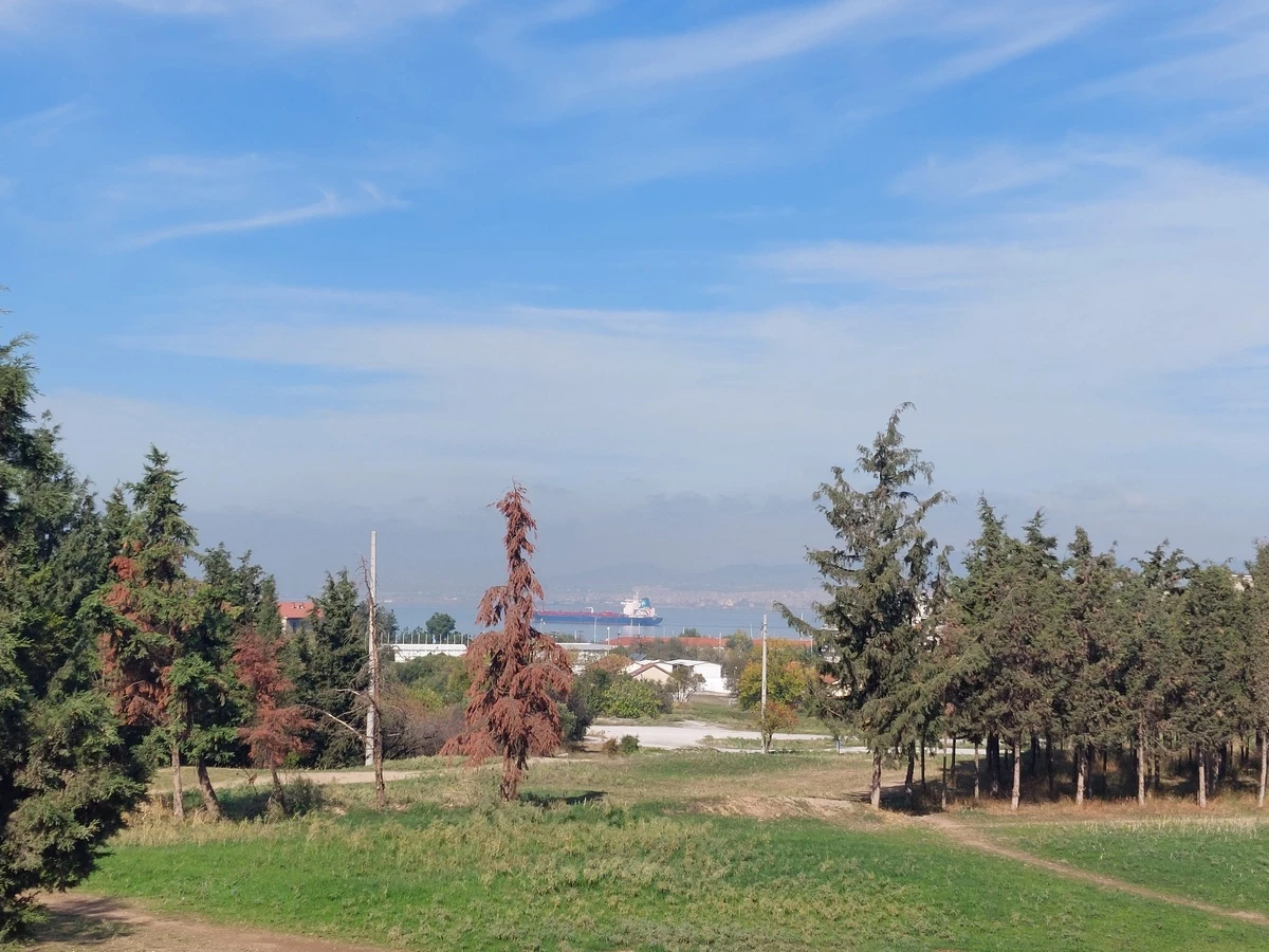 kodra3.jpg kodra3.jpg