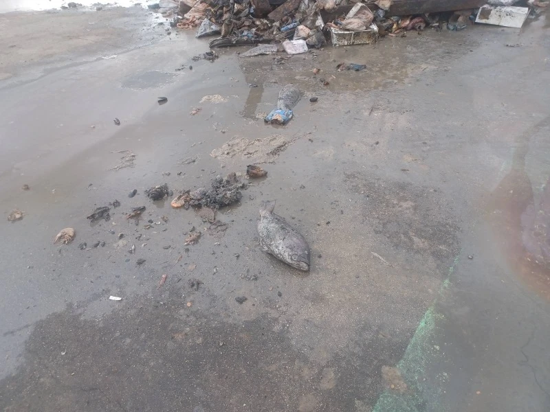 ripansi3.jpg ripansi3.jpg