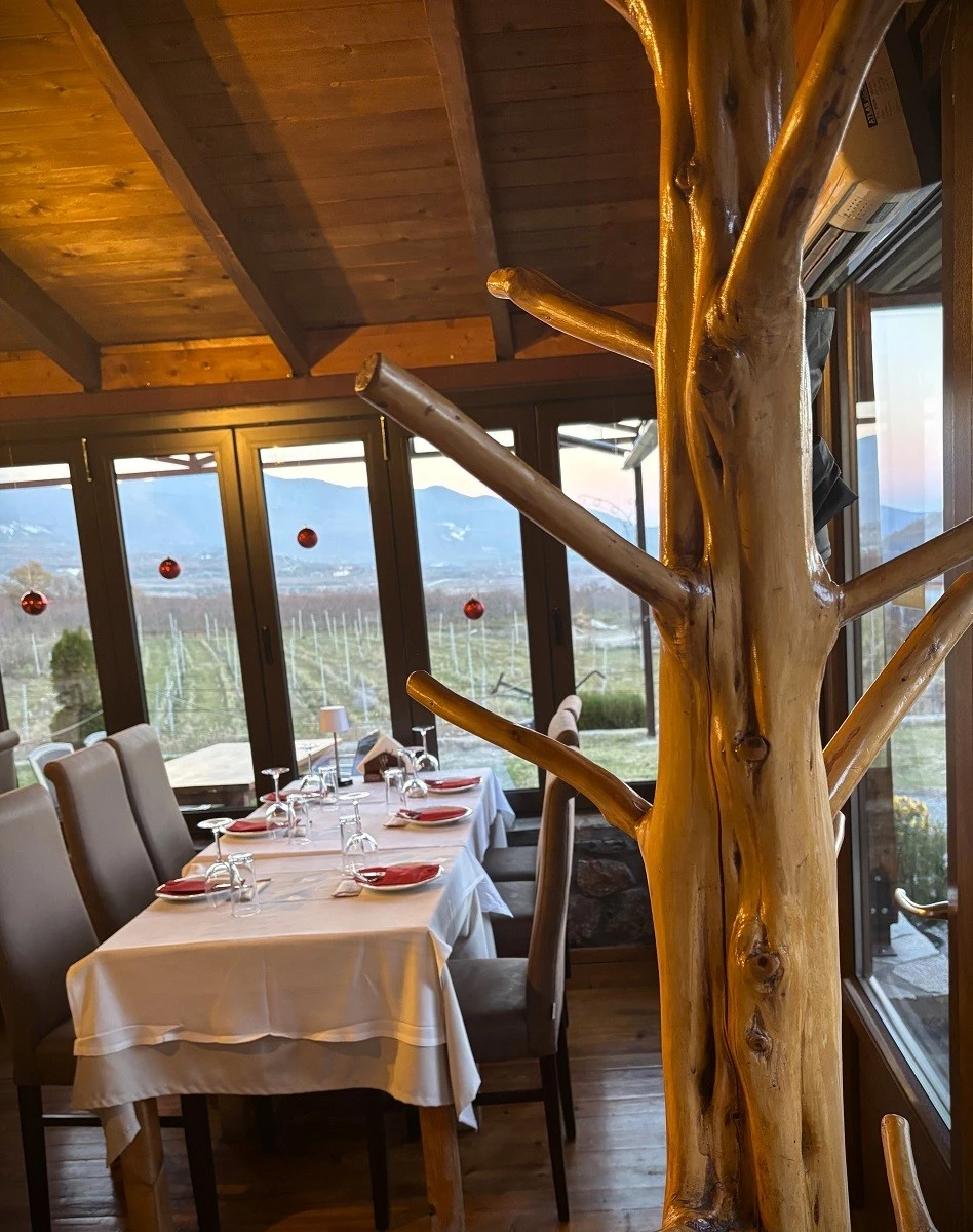 voras-gefsis-21.jpg?v=0