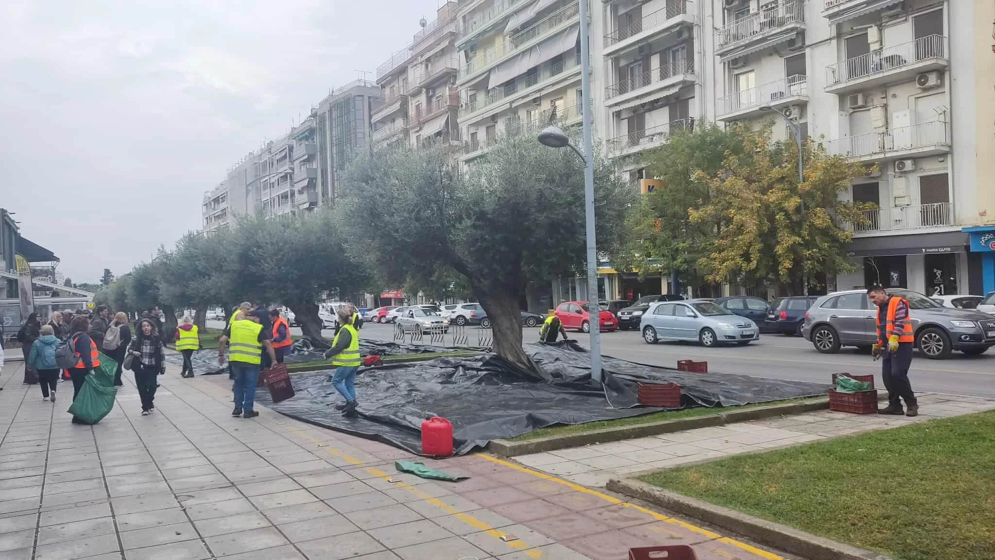 574539797-846559364564722-4130898108290051275-n.jpg?v=0