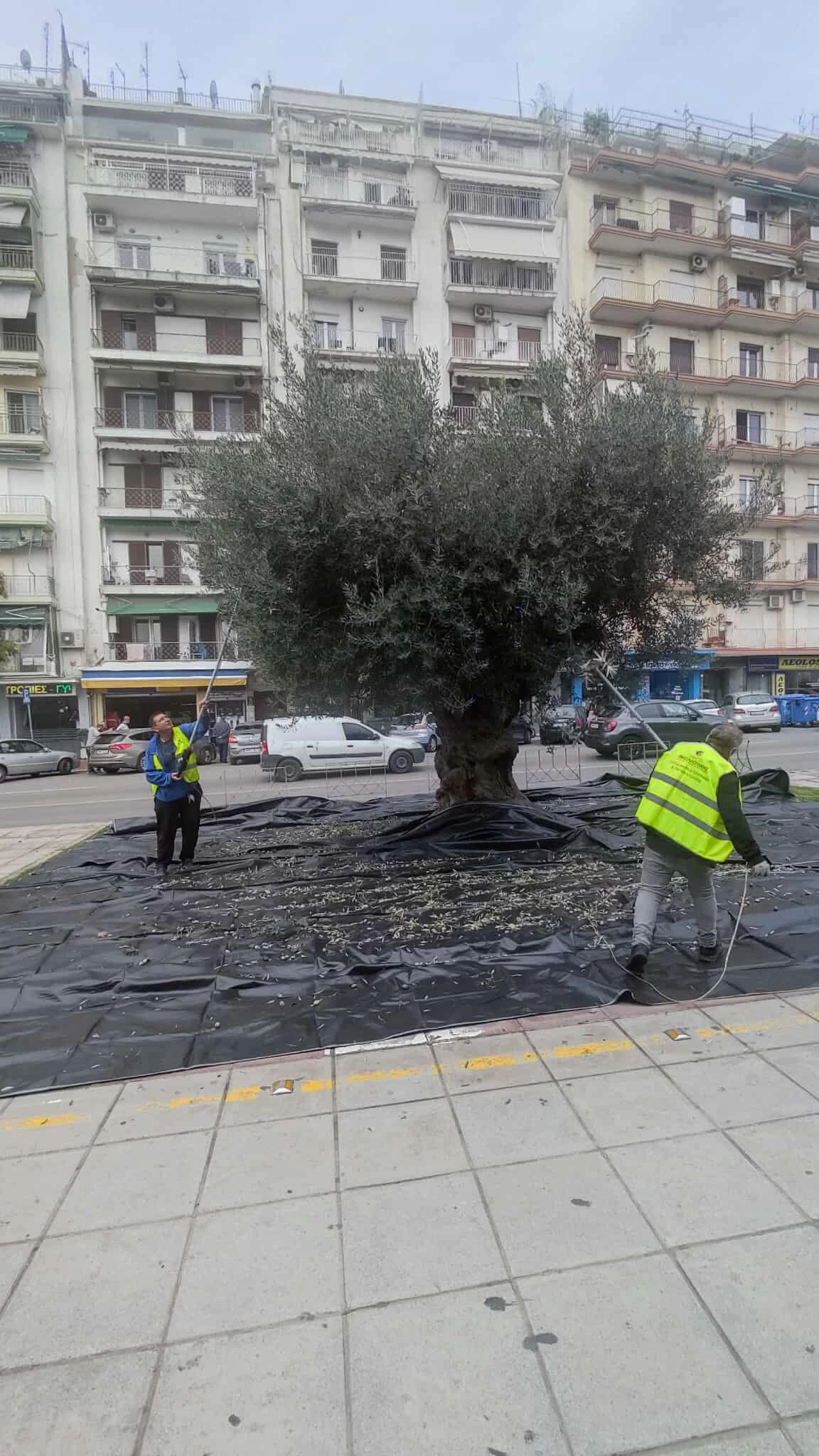 575839222-1599769151185850-7402792070044084867-n.jpg?v=0