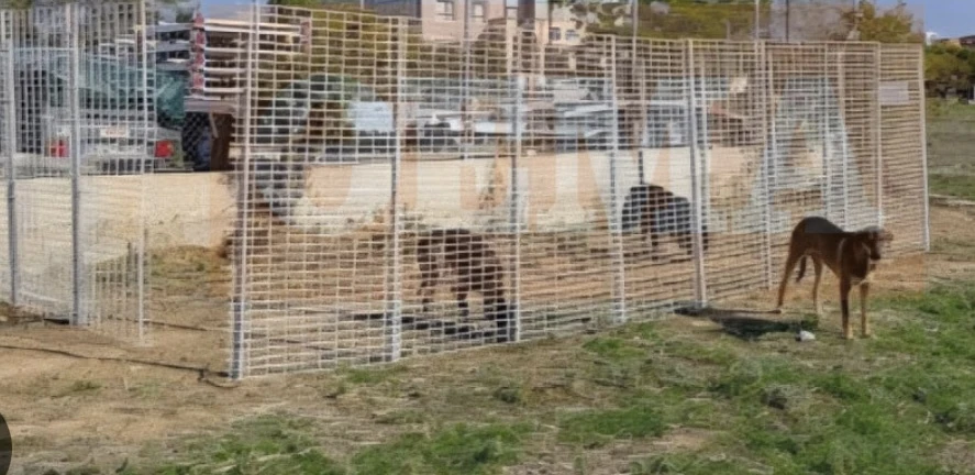 Η περίφραξη του Δήμου Πυλαίας - Χορτιάτη κοντά στο Ελαιόρεμα