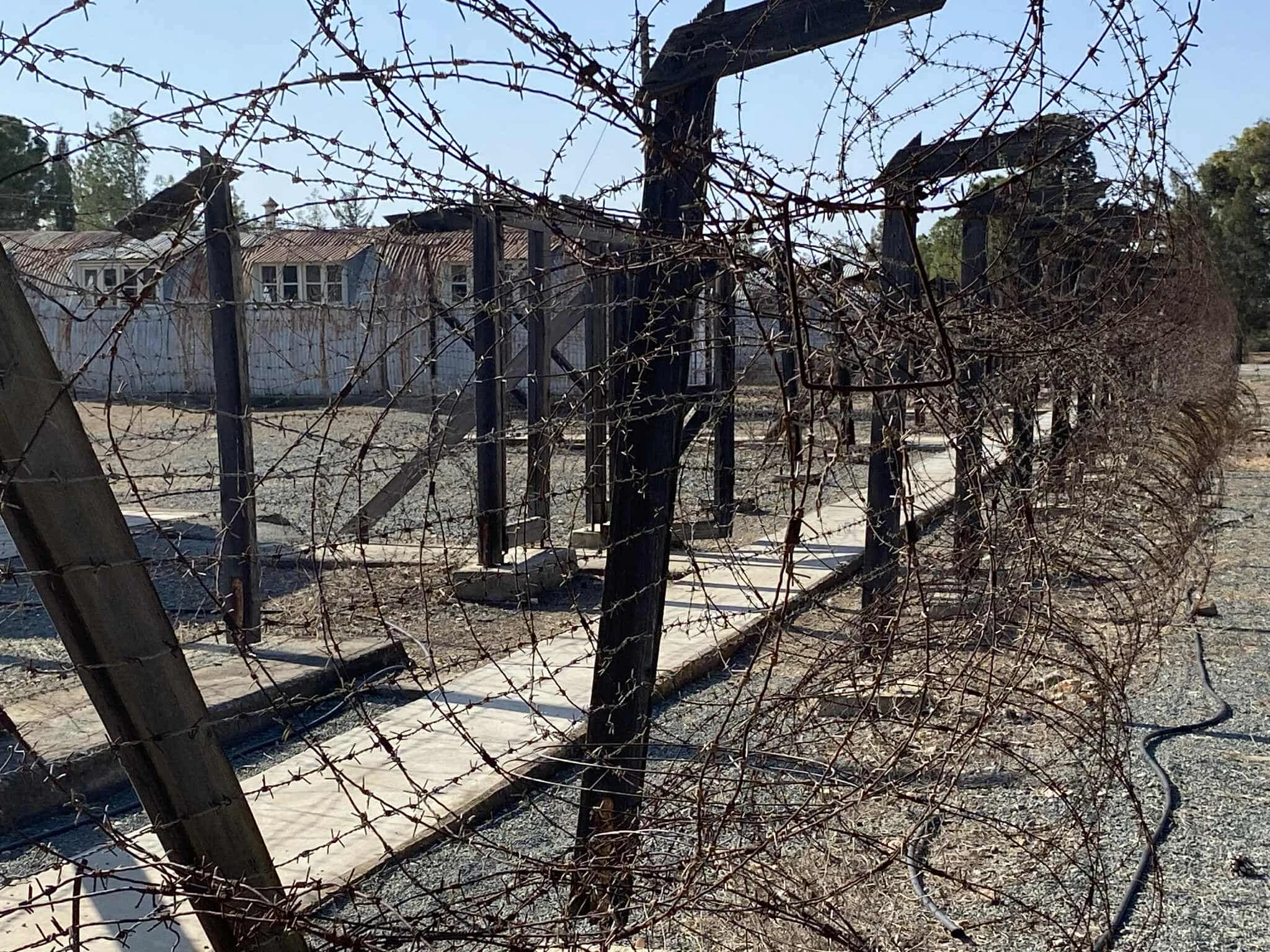 ekdilosi-mnimis-kupros-5.jpg?v=0