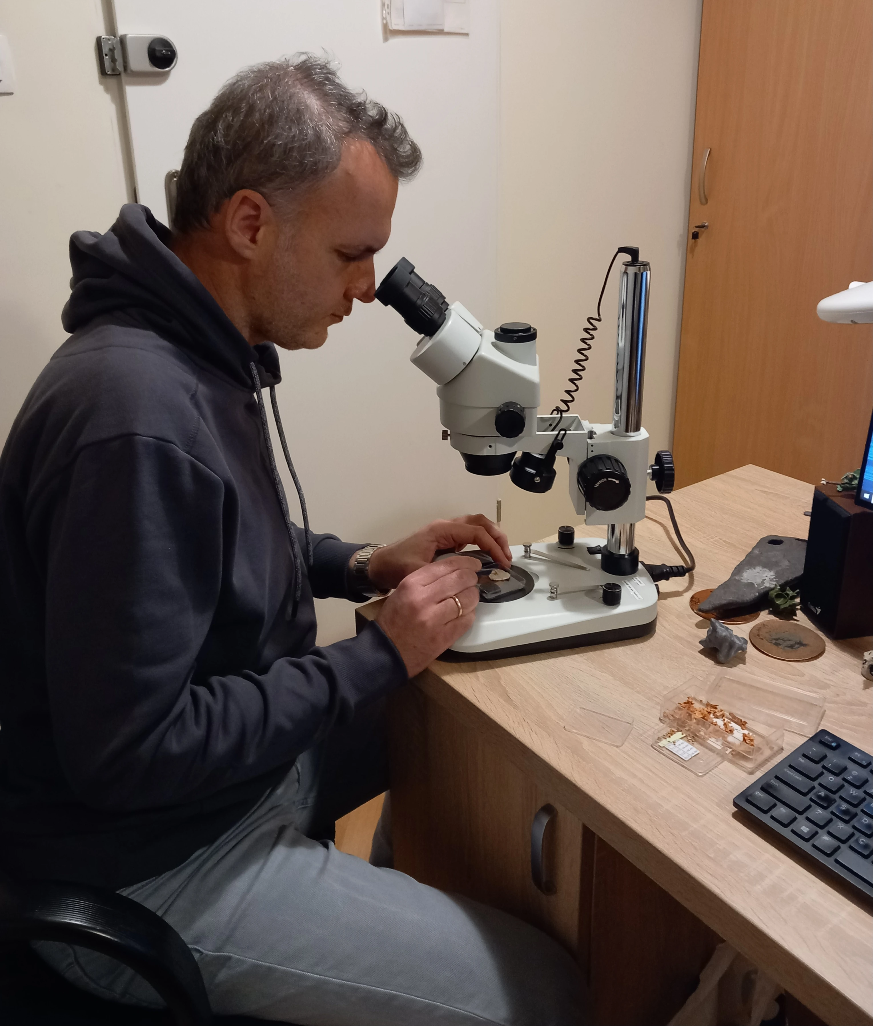 Ο Δρ. Γιώργος Γεωργαλής μελετάει απολιθώματα φιδιών στο μικροσκόπιο