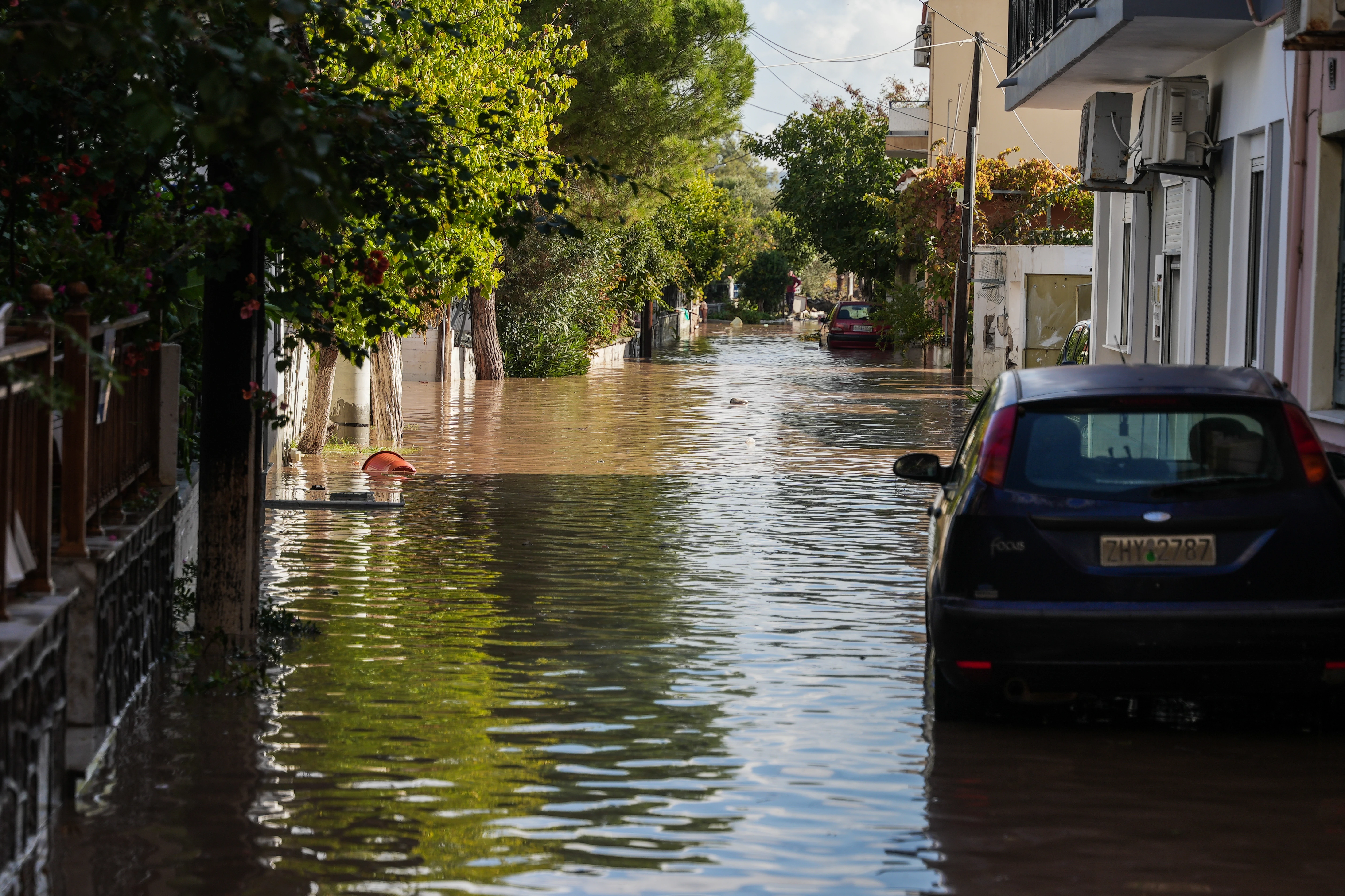 lesvos-plimires-6.jpg?v=0