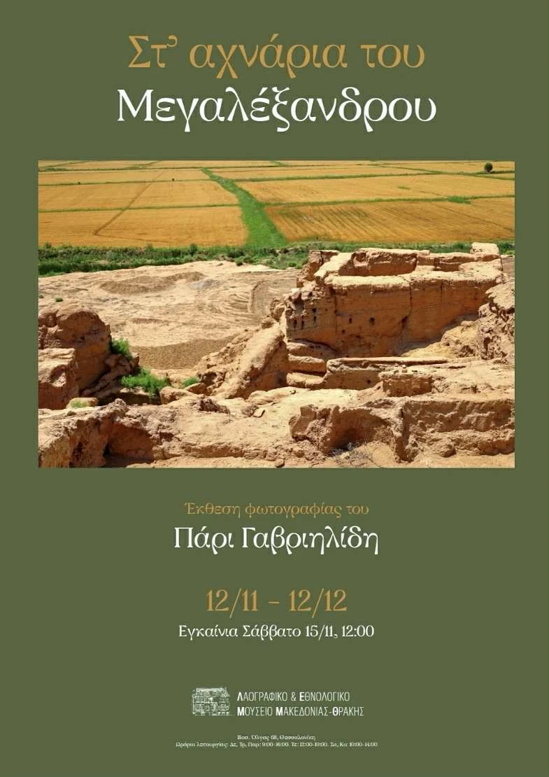 megalexanros-2.jpg?v=0