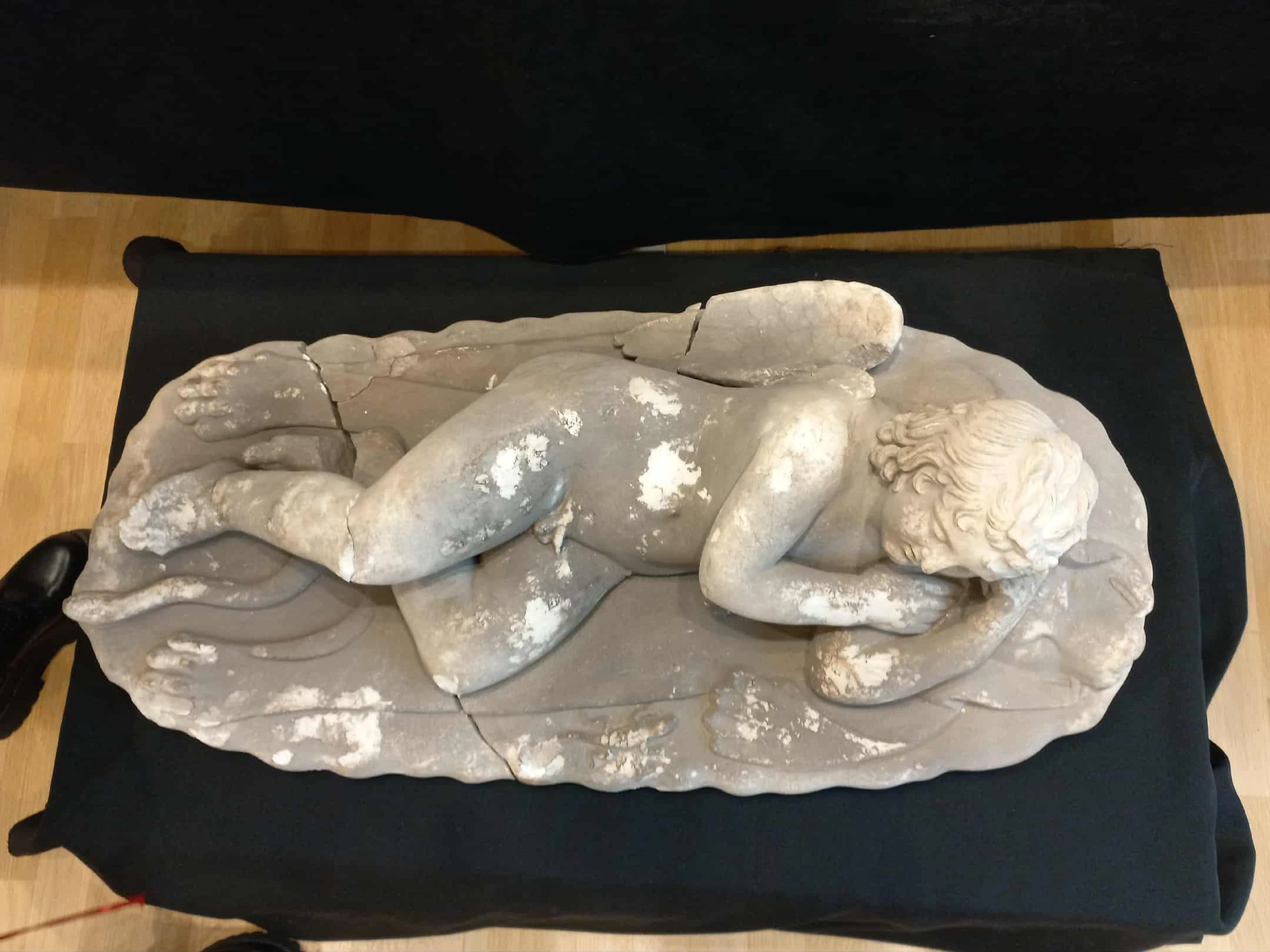 overhead-view-of-cupid.jpg?v=0