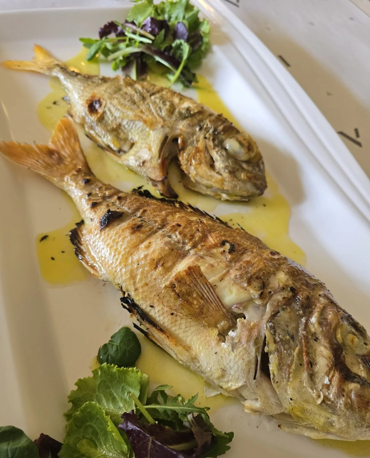 paris-restaurant-11.jpg?v=0