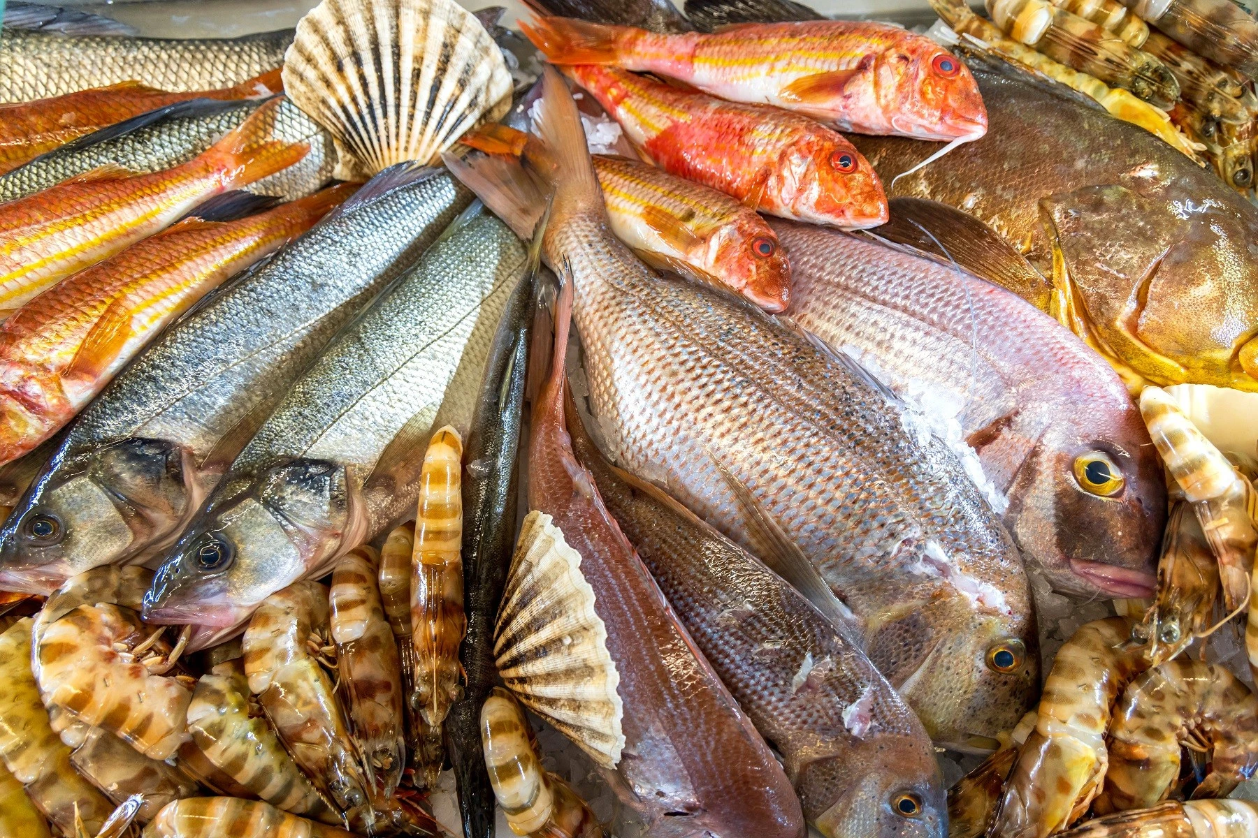 paris-restaurant-9.jpg?v=0