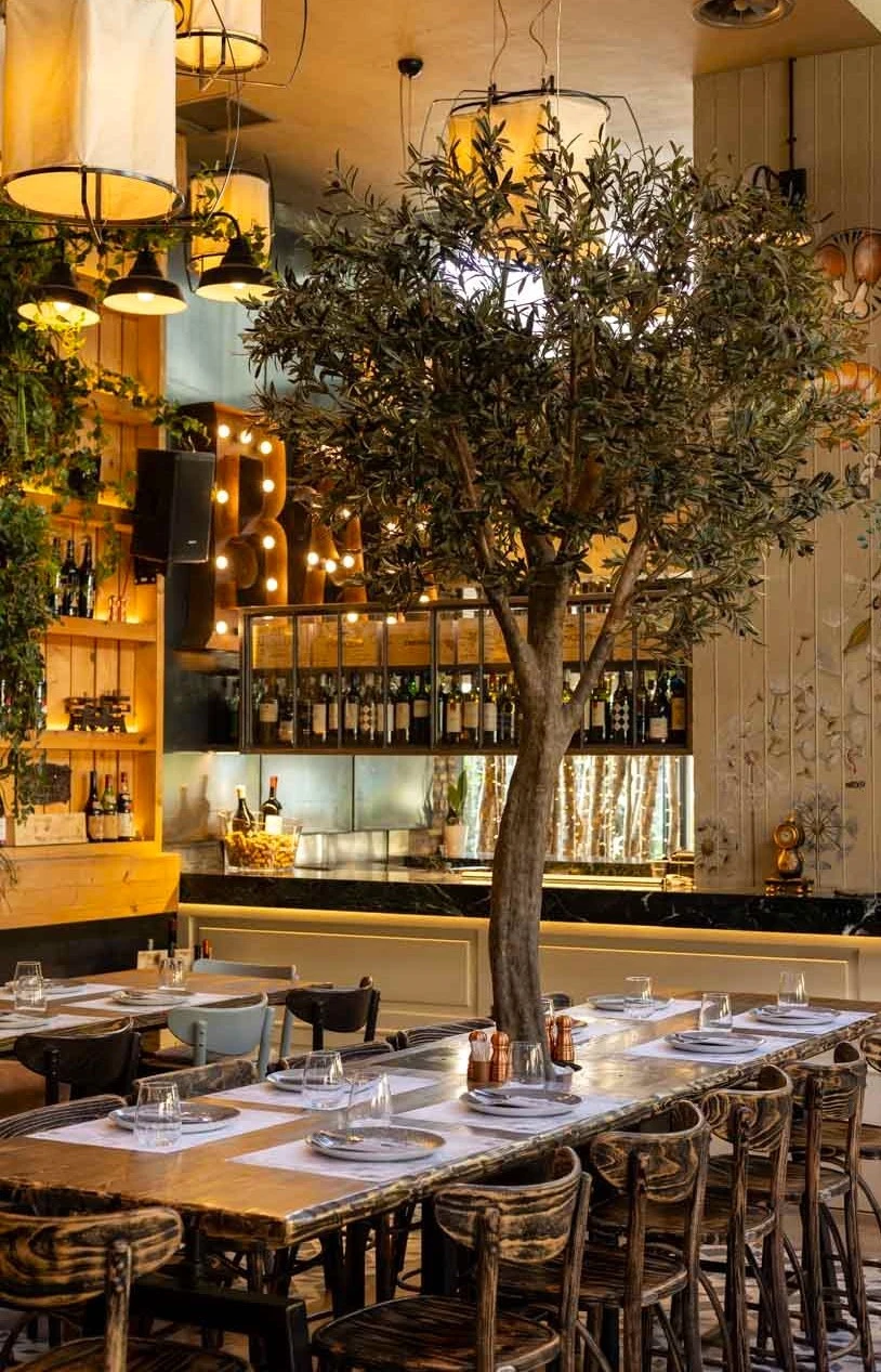 vregmenh-gata-3.jpg?v=0