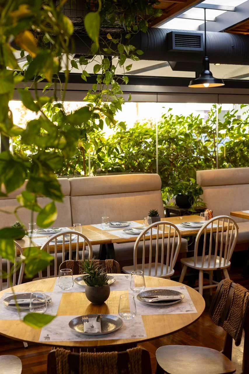 vregmenh-gata-4.jpg?v=0