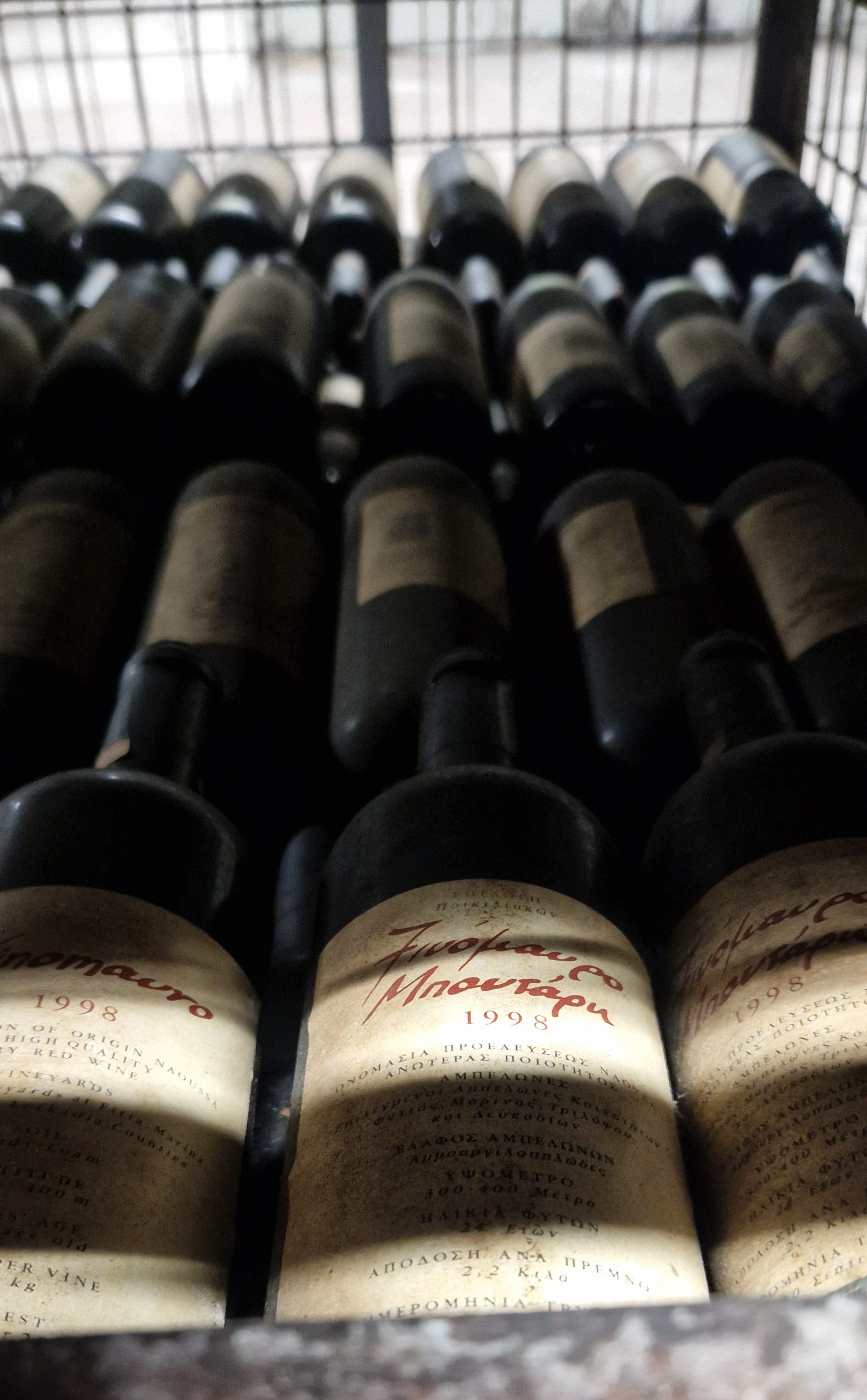 20251111-141656-1.jpg?v=0