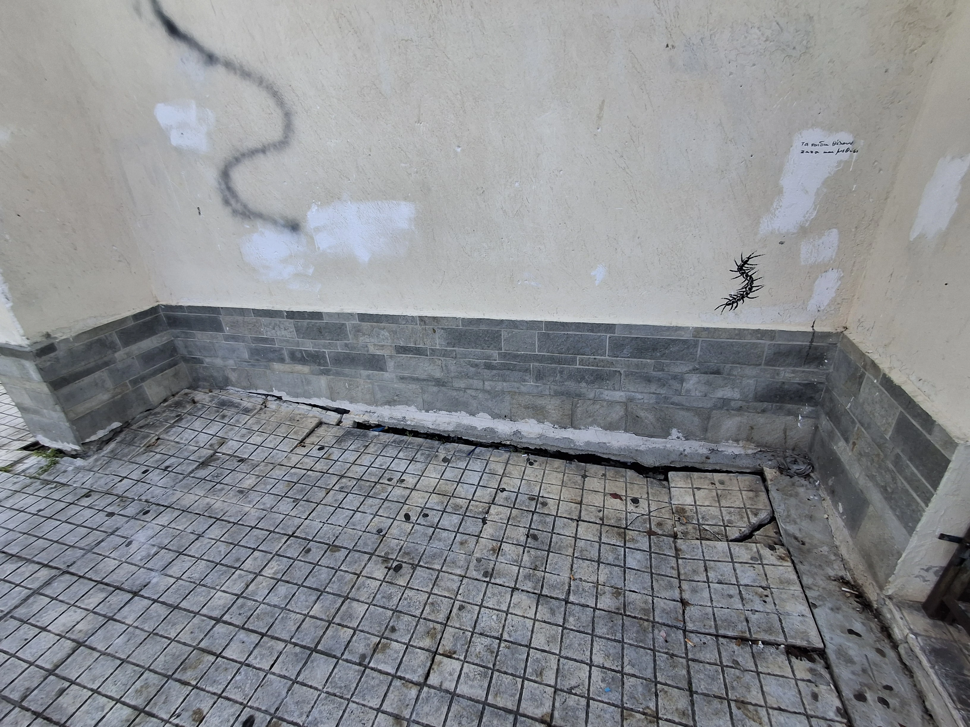 20251115-141225.jpg?v=0