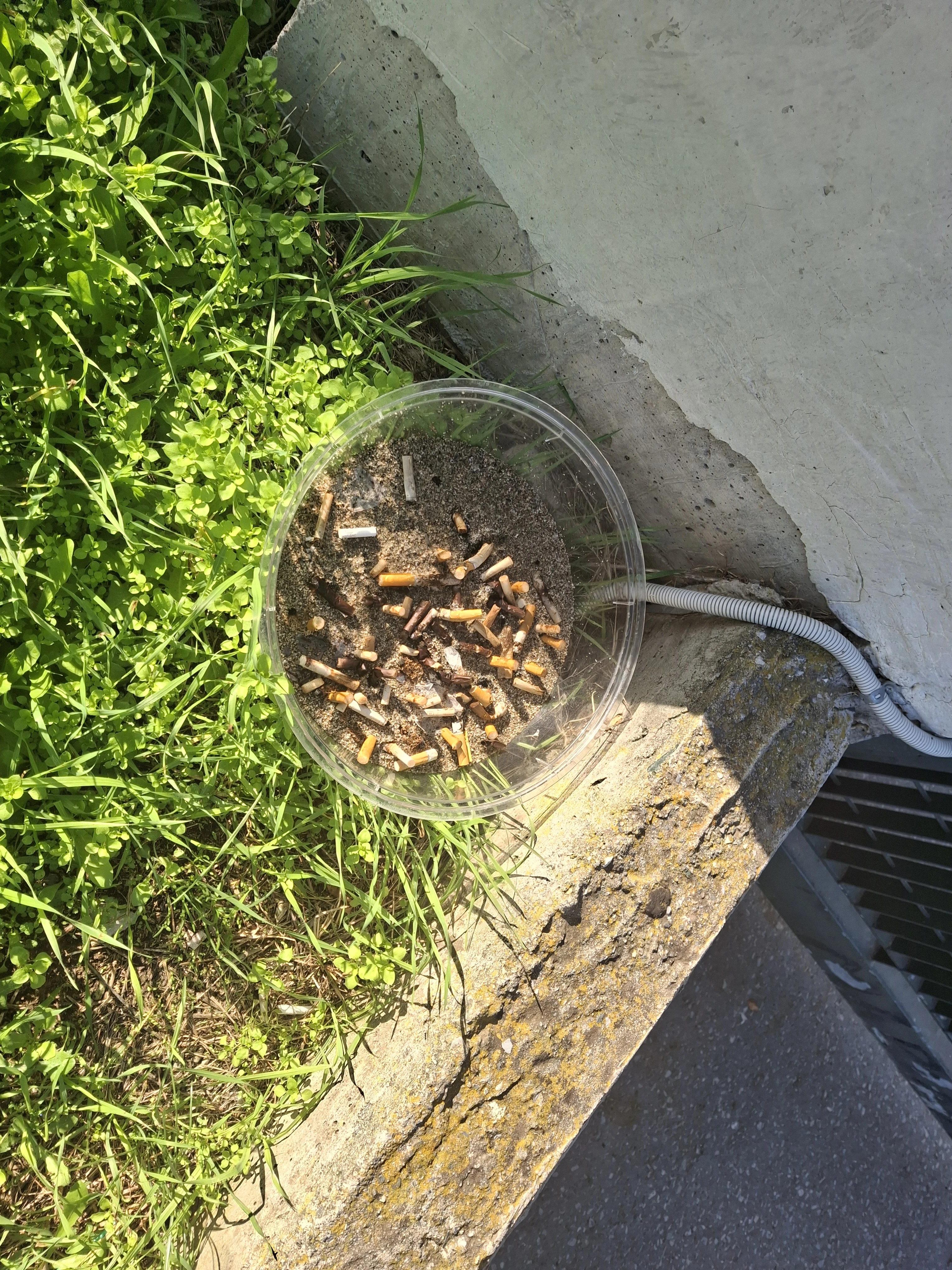 20251115-141458.jpg?v=0