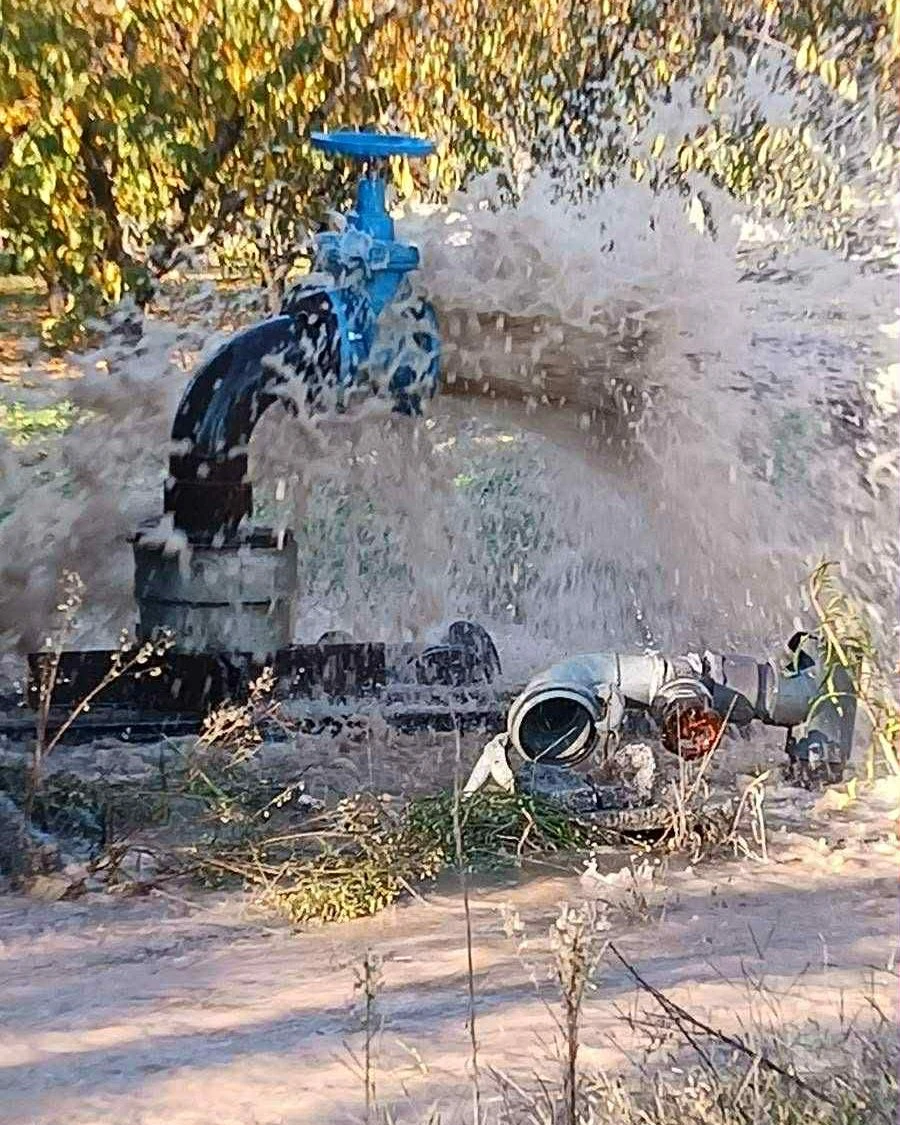 584765550-1163334182650461-6752510181050194238-n.jpg?v=0