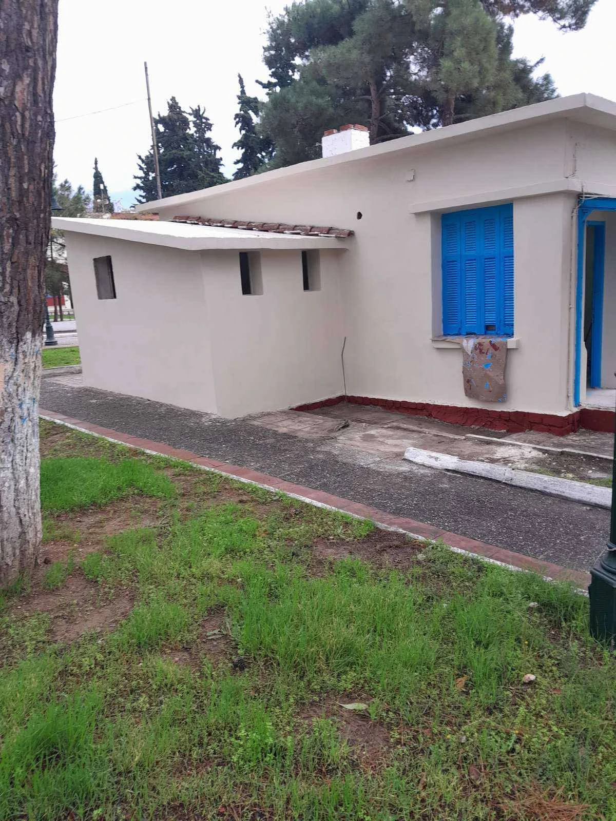 584783062-122264860280223217-896302480458662374-n.jpg?v=0