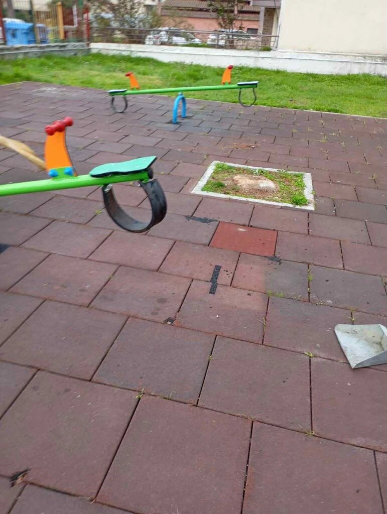 584975739-1144510901205073-1107772401294329328-n.jpg?v=0