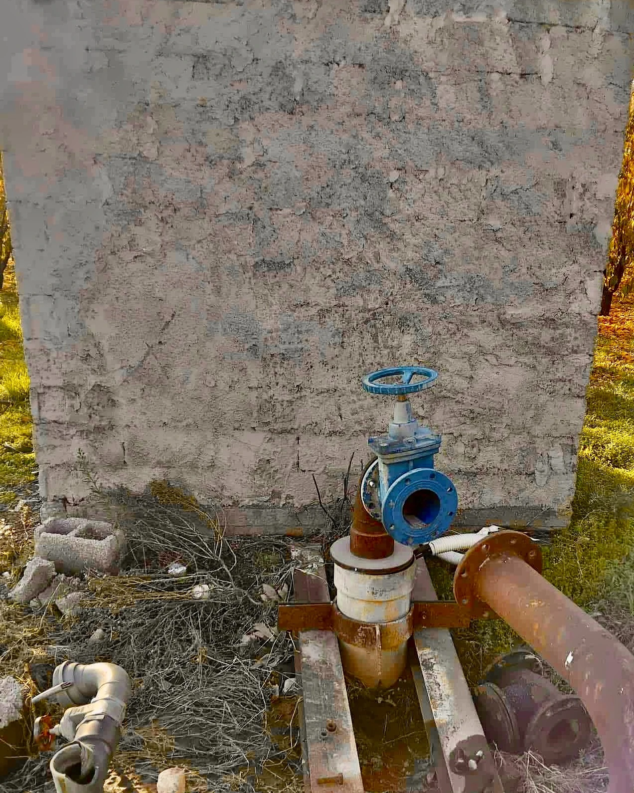 585159136-1163334232650456-6086418270777187791-n.jpg?v=0