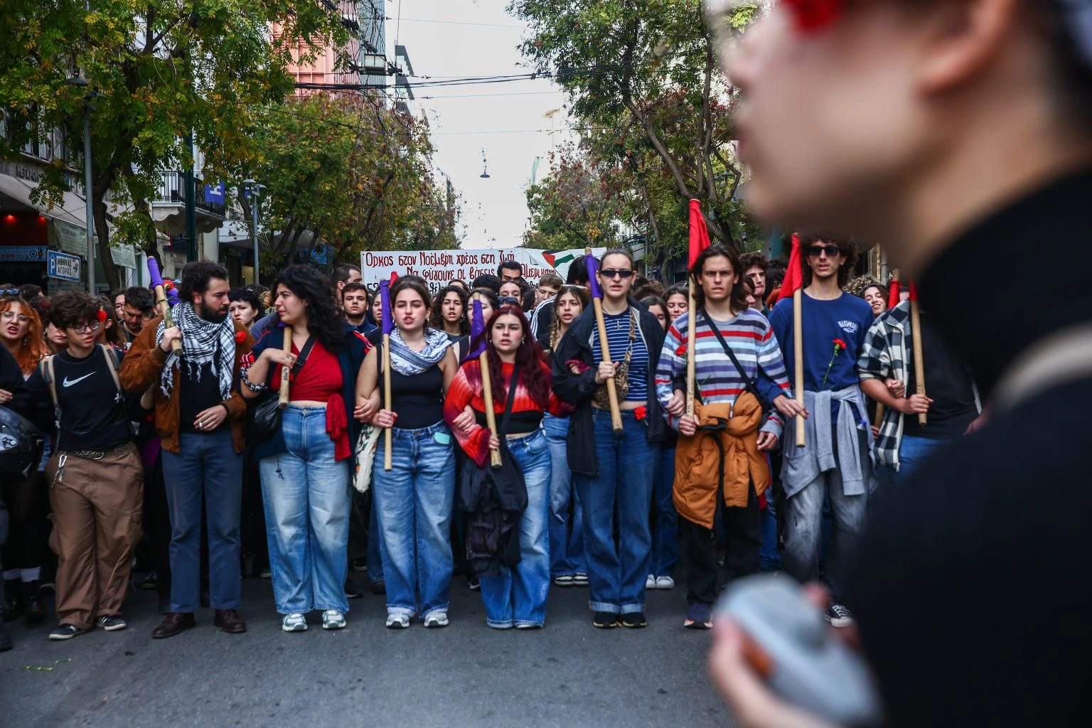 6738672-1536x1024.jpg?v=0