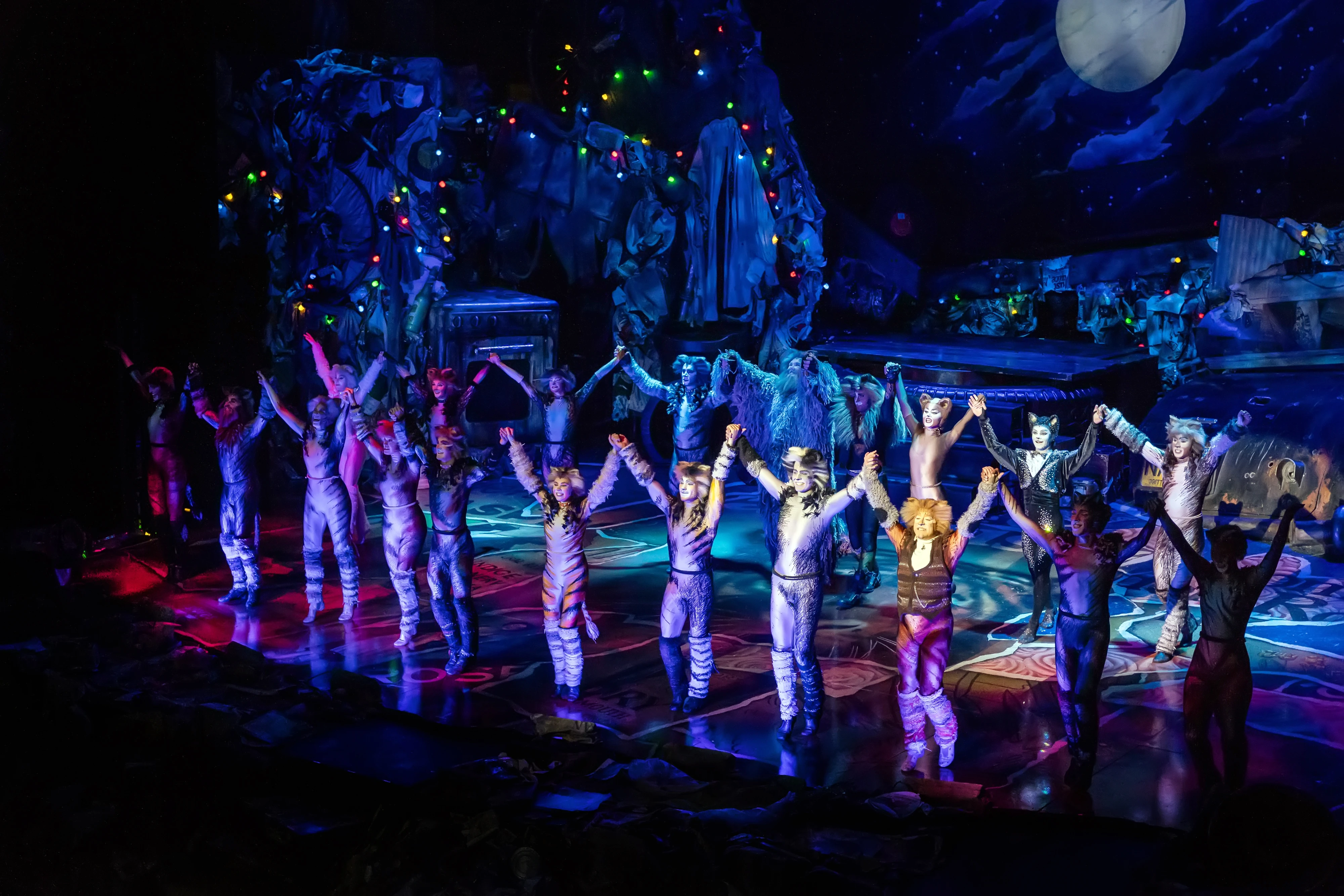 anastasia-zisopoulou-cats-7300815.jpg?v=0