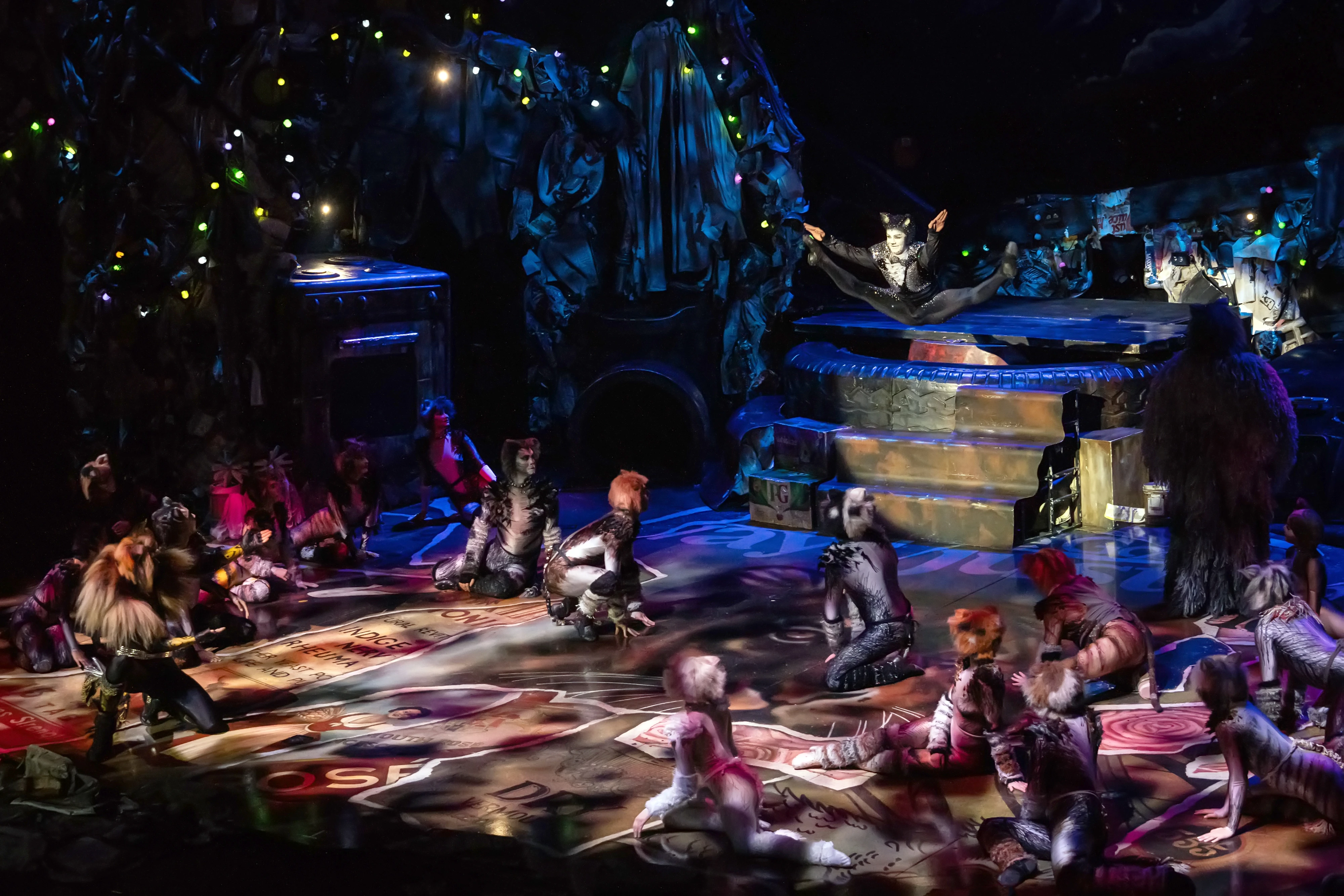 anastasia-zisopoulou-cats-7400089.jpg?v=0