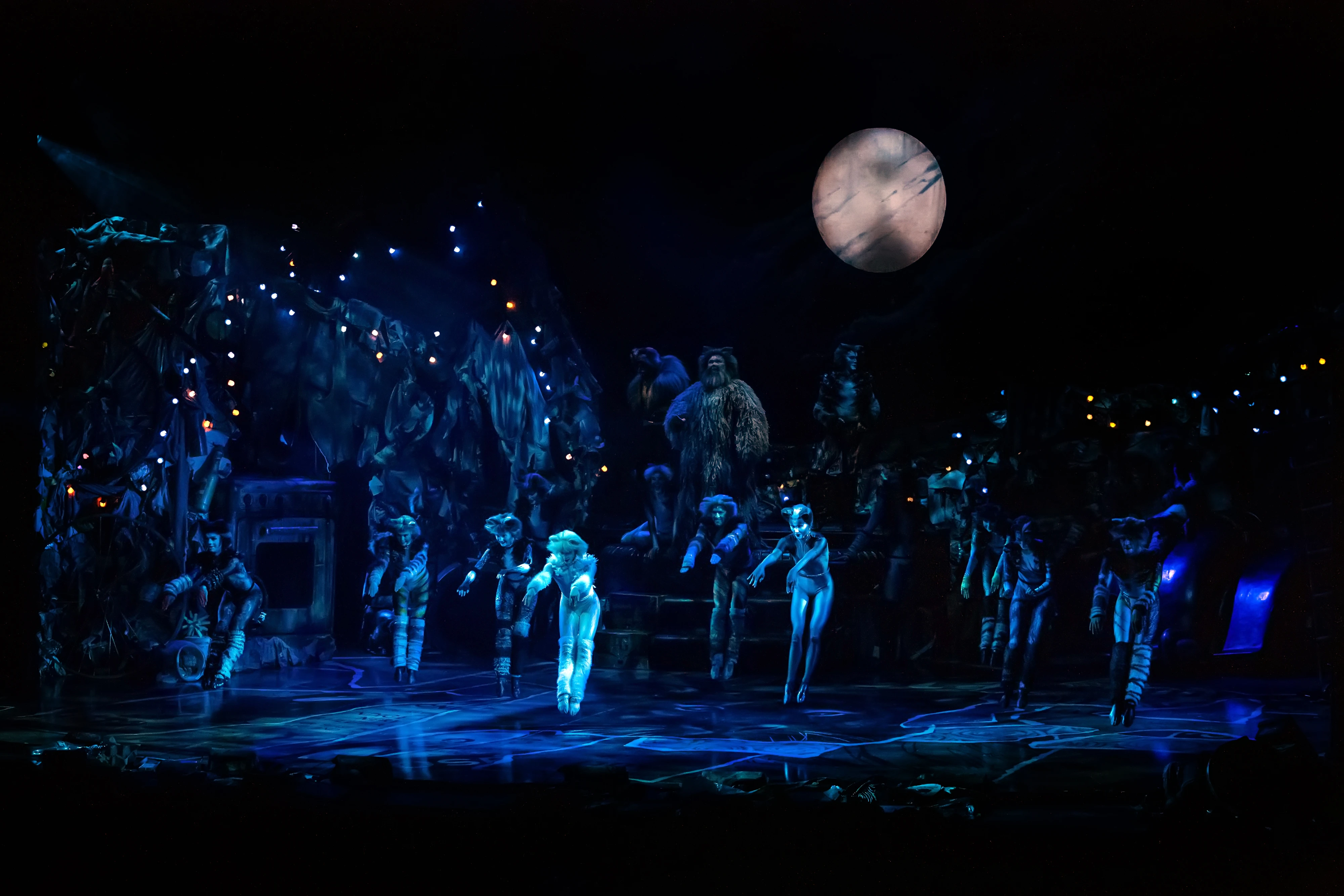 anastasia-zisopoulou-cats-7409670.jpg?v=0