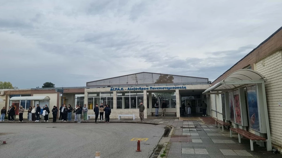 dipae-foitites.jpg?v=0