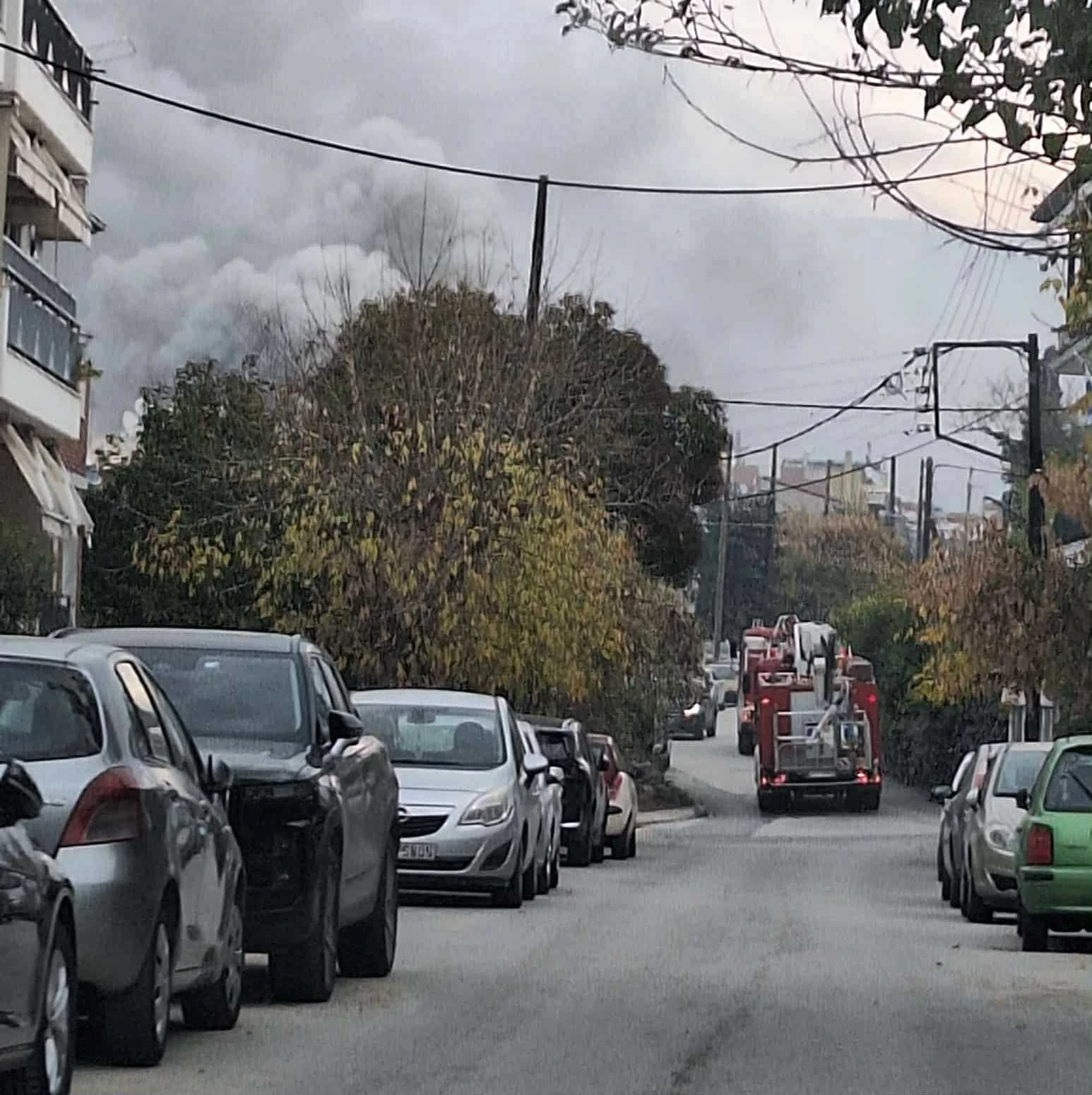 fotia-pylaia-2.jfif?v=0