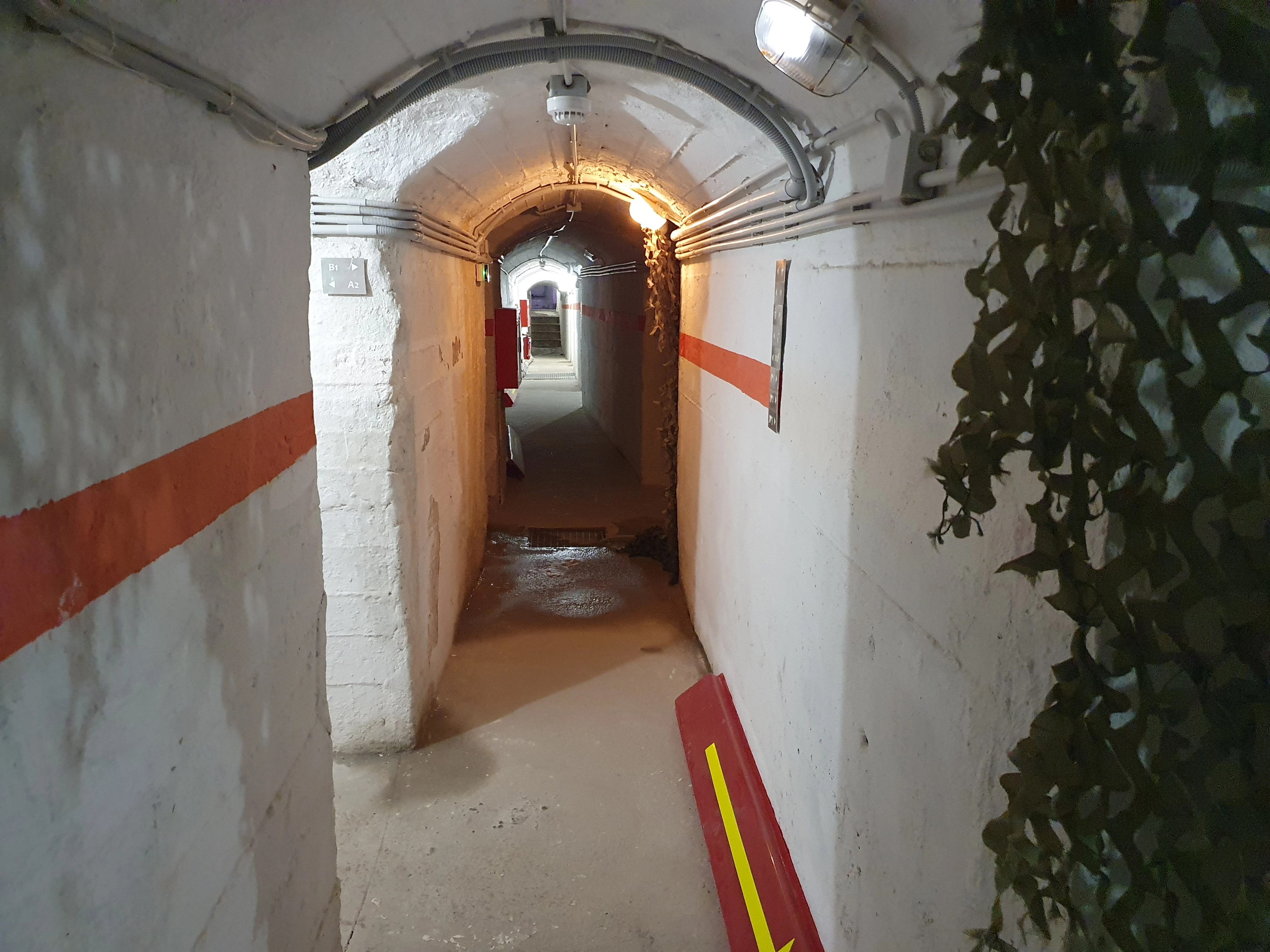 ochyrolisse1.jpg?v=0