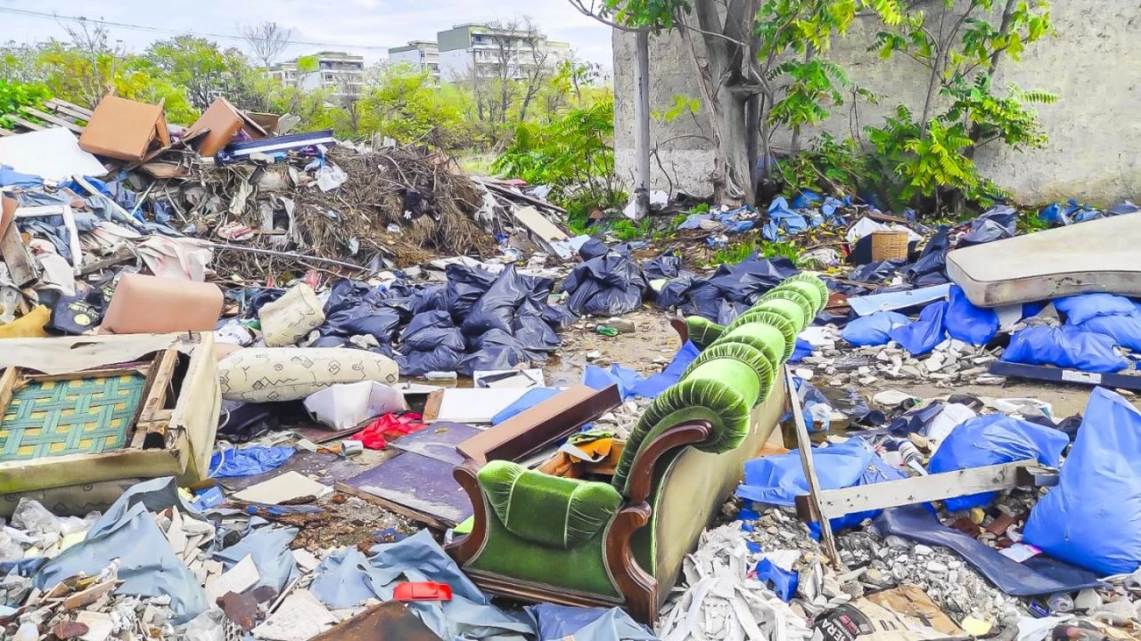 roxanis-kanapes1.jpg?v=0