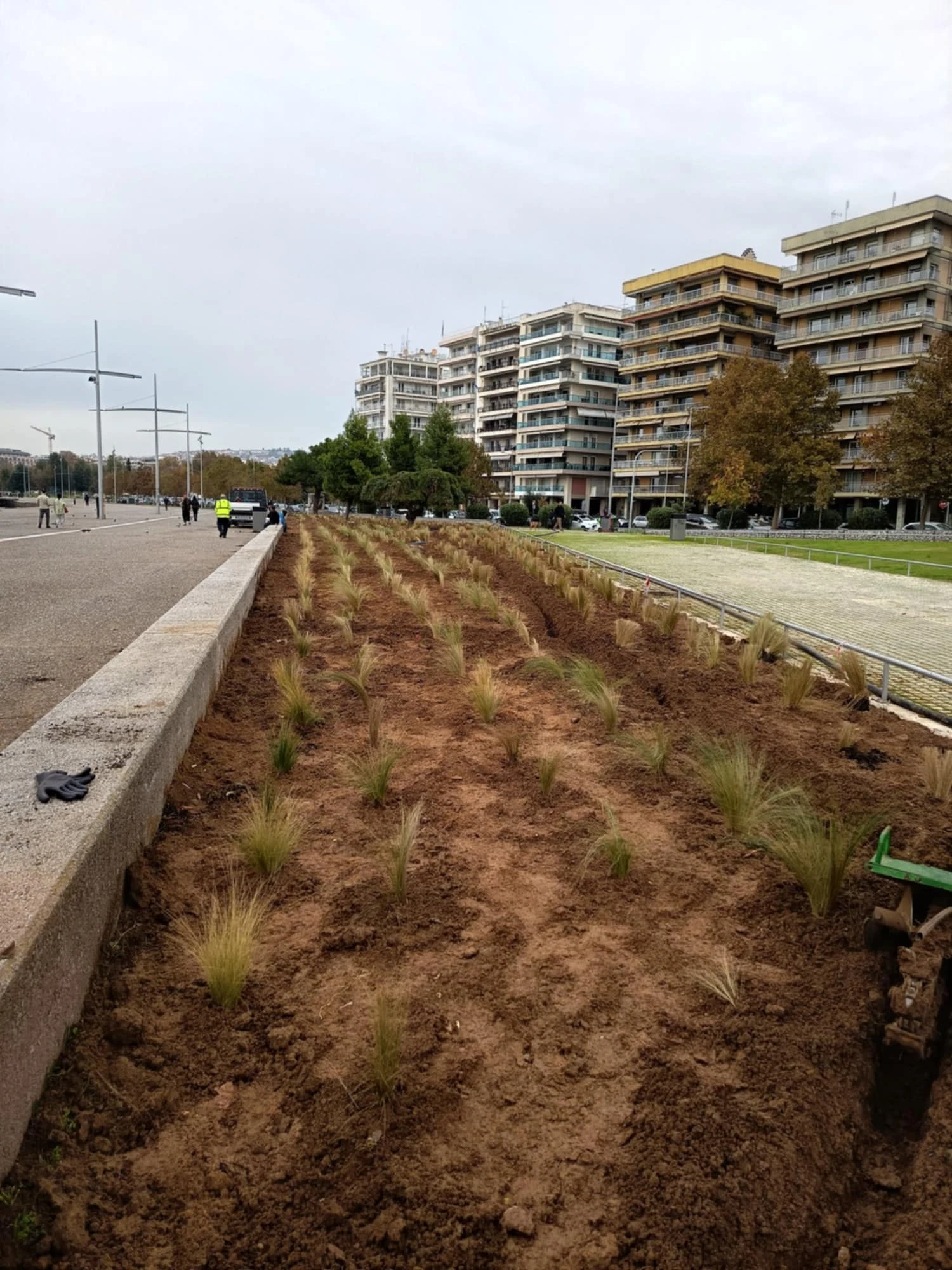 stipes-kipos-apogeumatinou-iliou-2.jpeg?v=0