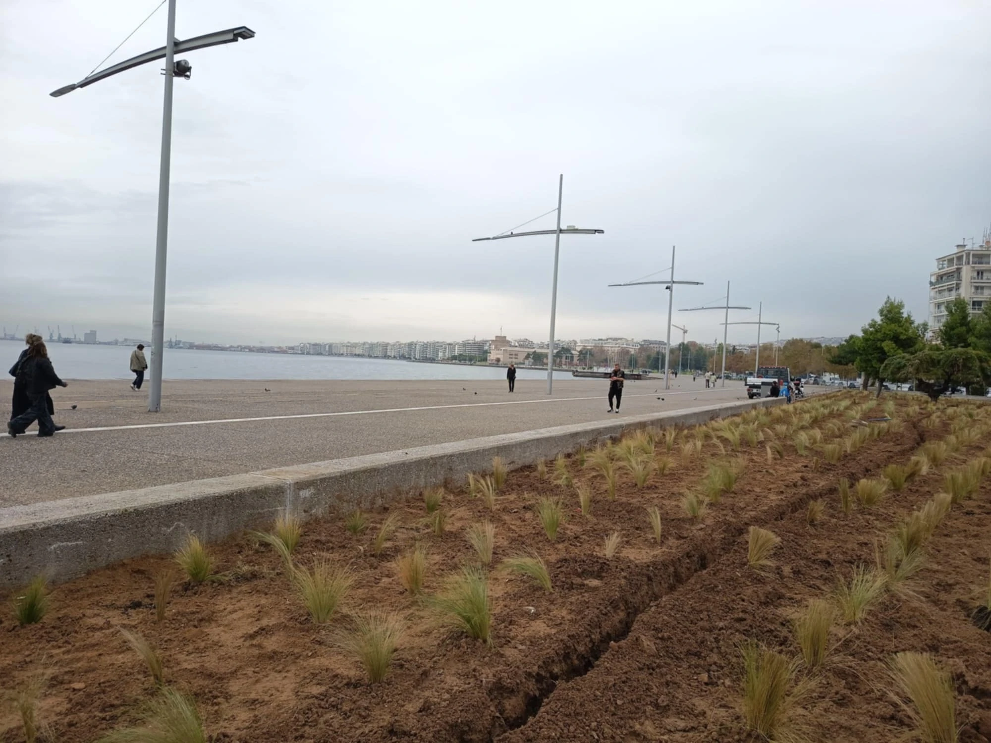 stipes-kipos-apogeumatinou-iliou-3.jpeg?v=0