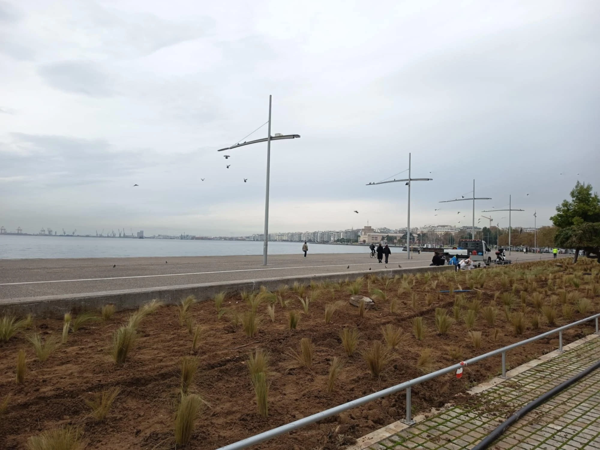 stipes-kipos-apogeumatinou-iliou-4.jpeg?v=0