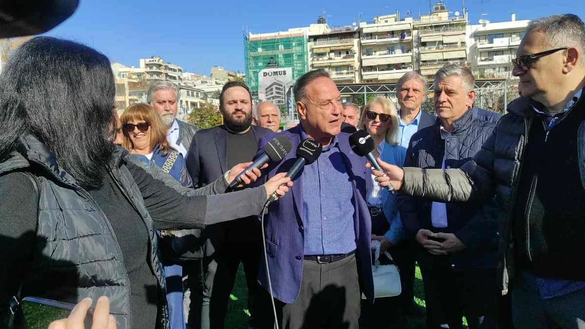 triandria-gipedo4.jpg?v=0