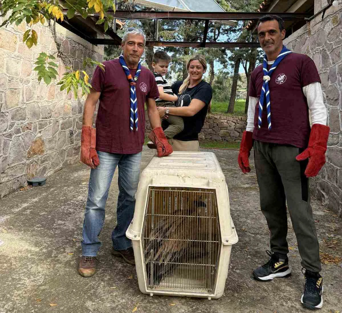 Προσκοπική Ομάδα Διάσωσης Άγριας Ζωής (ΠΟΔΑΖ)