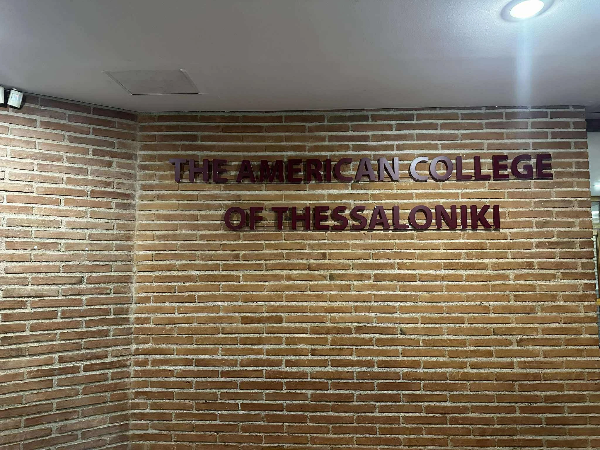 588953535-1156629083265131-503094799994213763-n.jpg?v=0