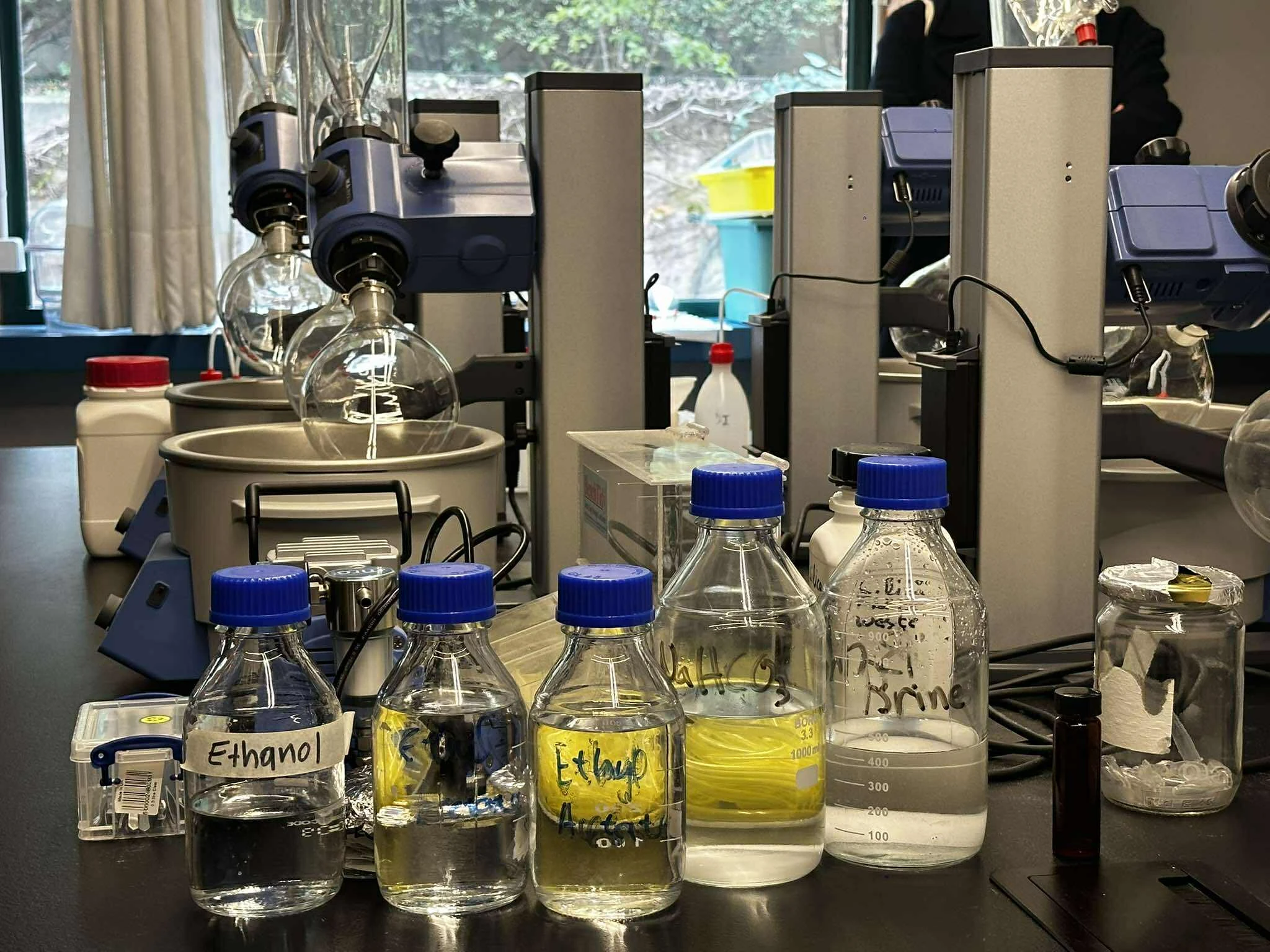 588962789-741219958285429-2434792914968694362-n.jpg?v=0