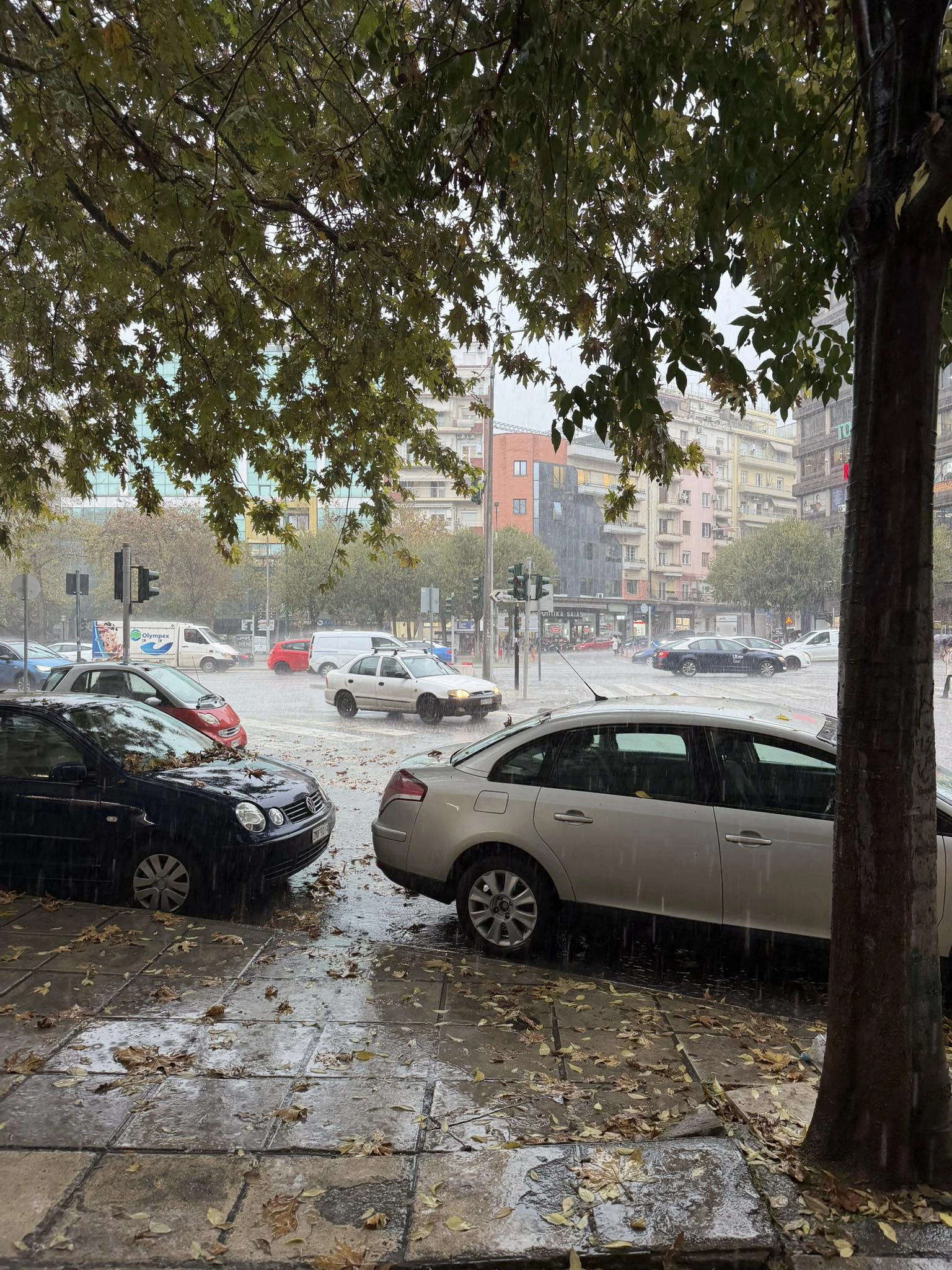 591915066-714658237897629-2540085312175697230-n.jpg?v=0