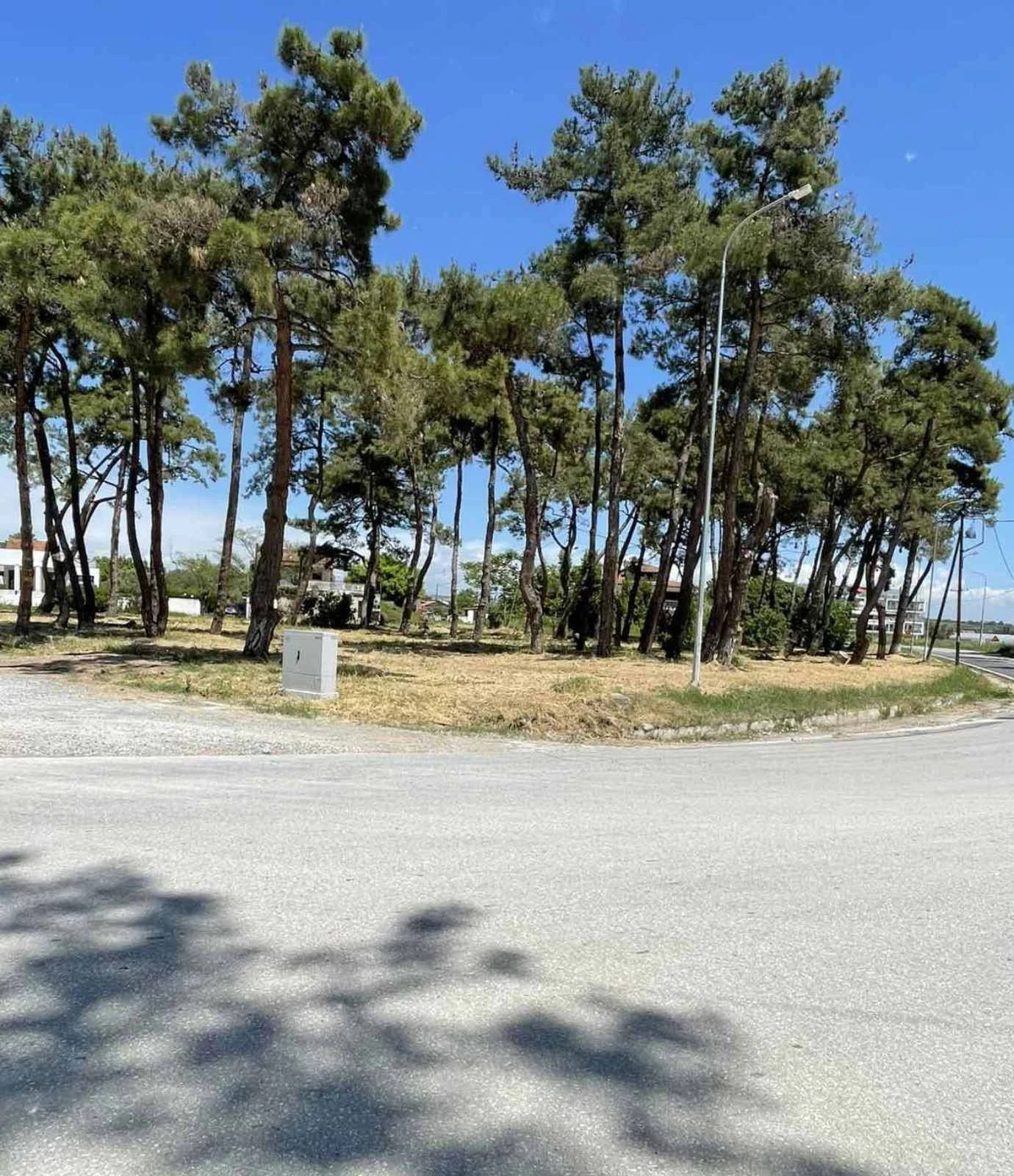 593328420-122267251640223217-9095774131392213622-n.jpg?v=0