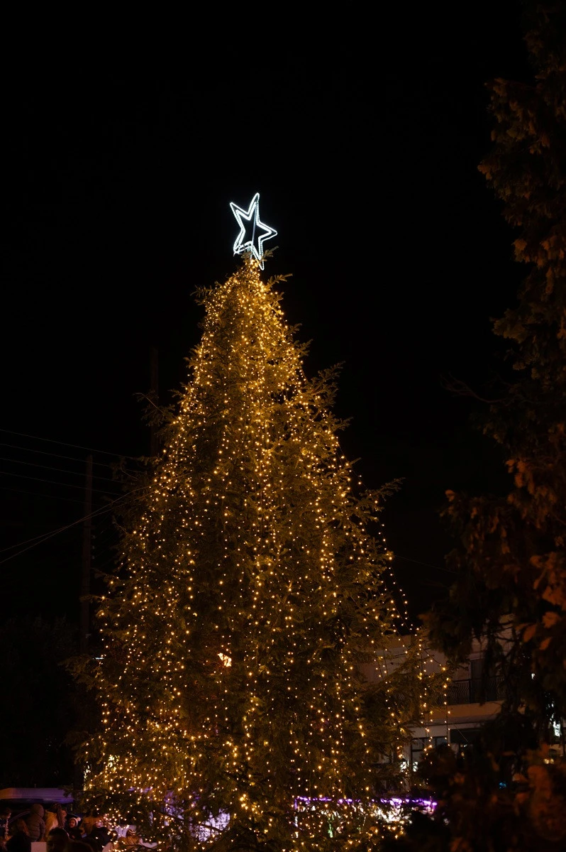 593514130-1264002332426762-5018006913600790699-n.jpg?v=0