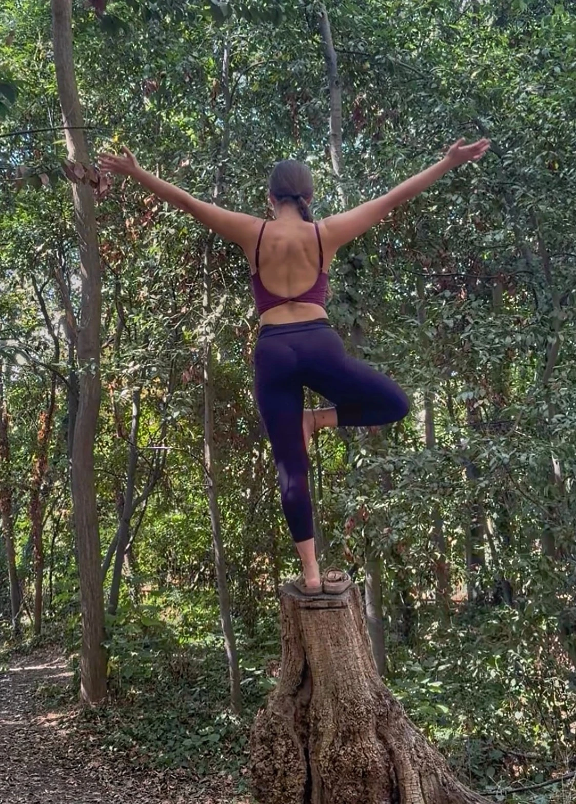 alt-art-aerial-14.jpg?v=0