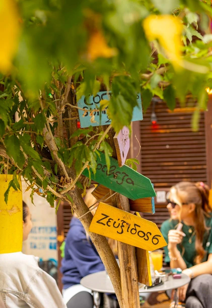 mandarini-18.jpg?v=0