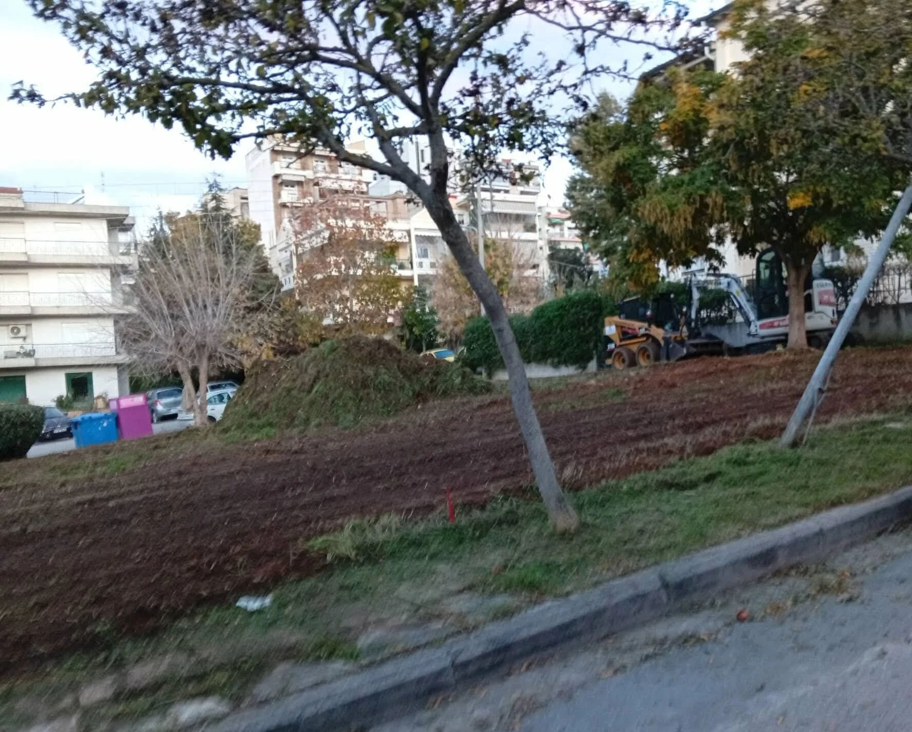 parko-tsepis-triandria-1.jpeg?v=0