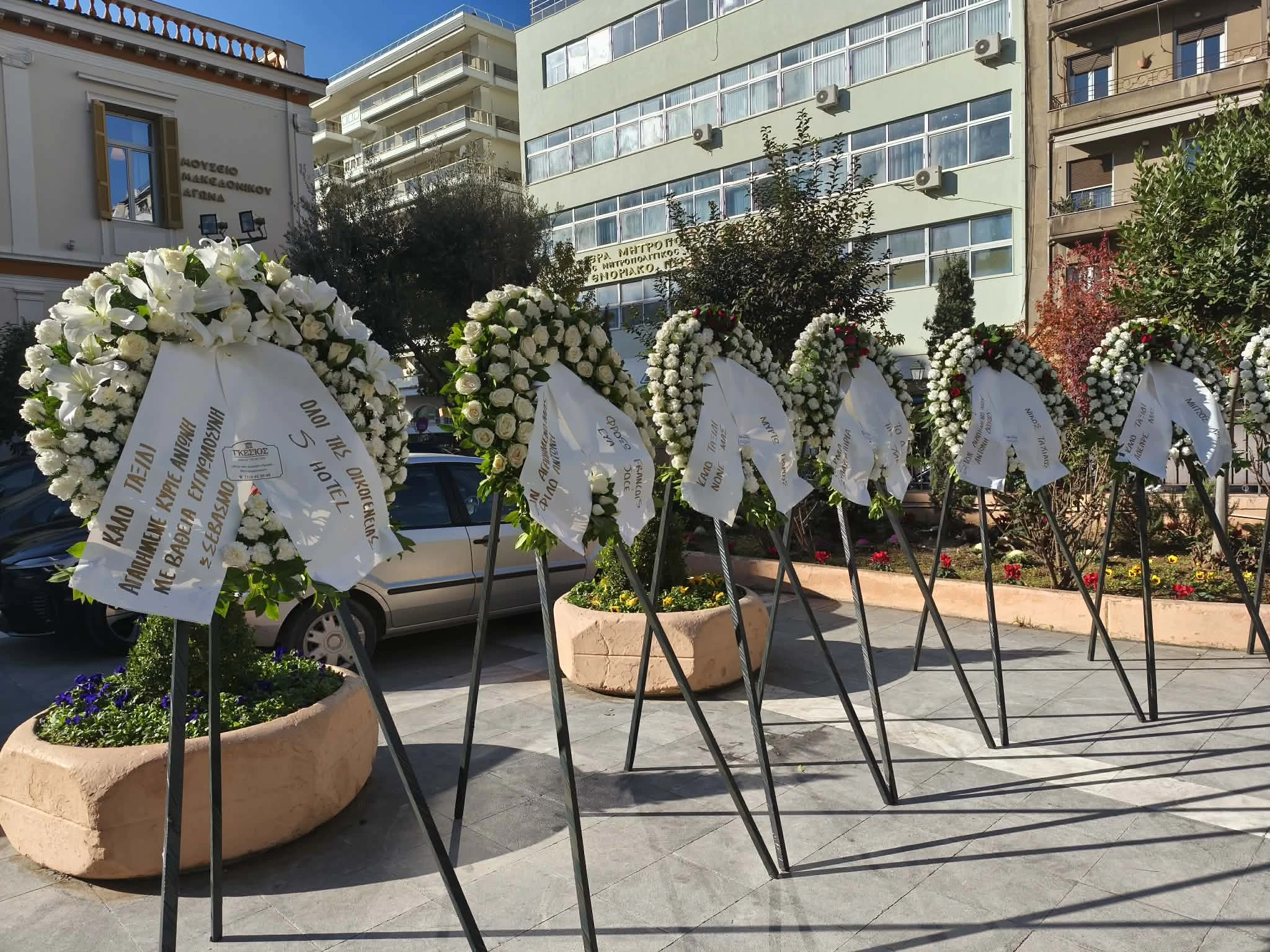 594358619-1167269512238770-4263256017637859355-n.jpg?v=0