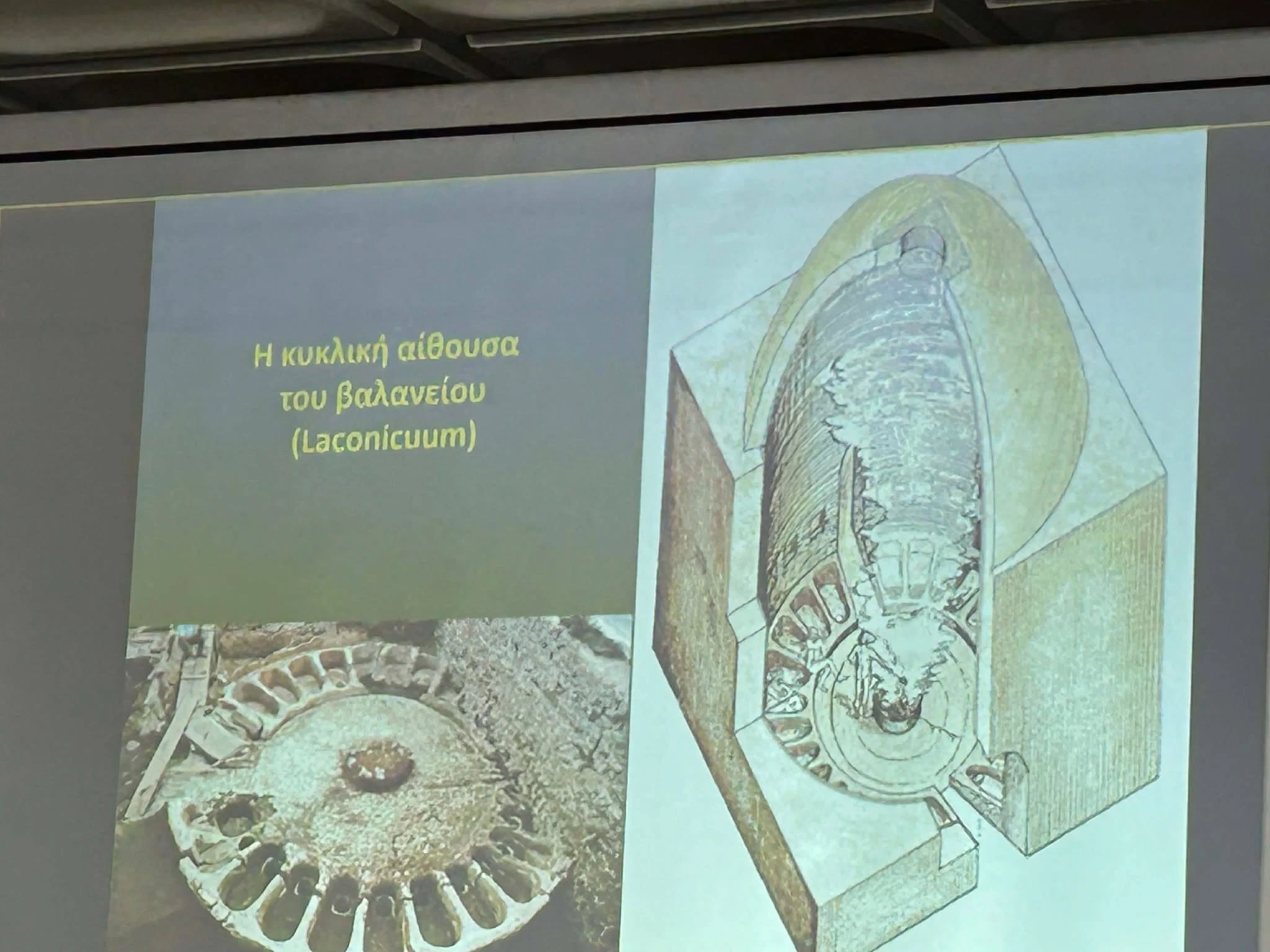 594441798-1373532770902585-8080373336059991500-n.jpg?v=0